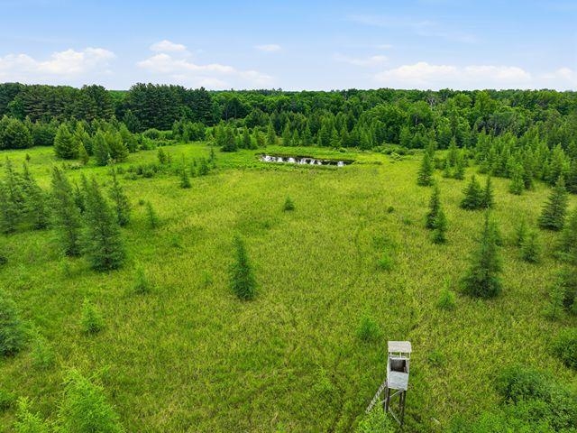 00 HOLST ROAD, Pittsville, Wisconsin 54466, ,Land,For Sale,00 HOLST ROAD,22602766