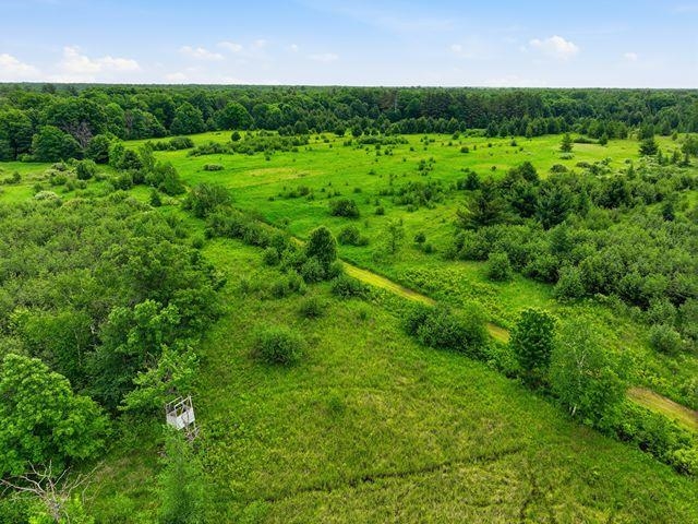 00 HOLST ROAD, Pittsville, Wisconsin 54466, ,Land,For Sale,00 HOLST ROAD,22602766
