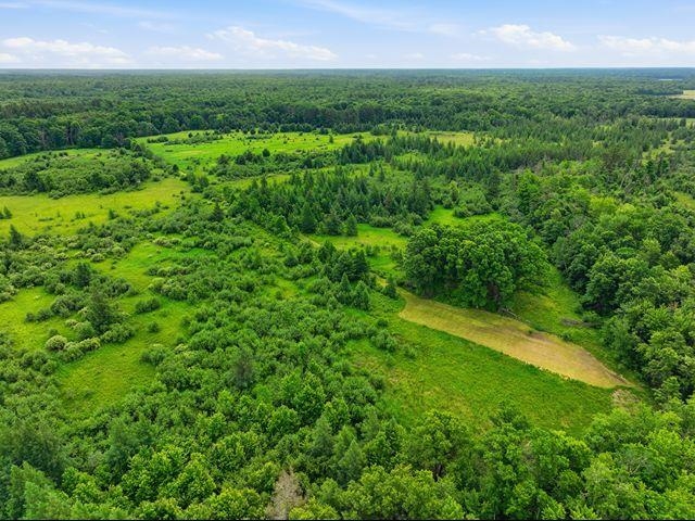 00 HOLST ROAD, Pittsville, Wisconsin 54466, ,Land,For Sale,00 HOLST ROAD,22602766