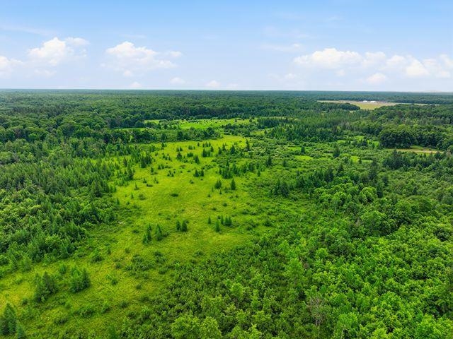 00 HOLST ROAD, Pittsville, Wisconsin 54466, ,Land,For Sale,00 HOLST ROAD,22602766