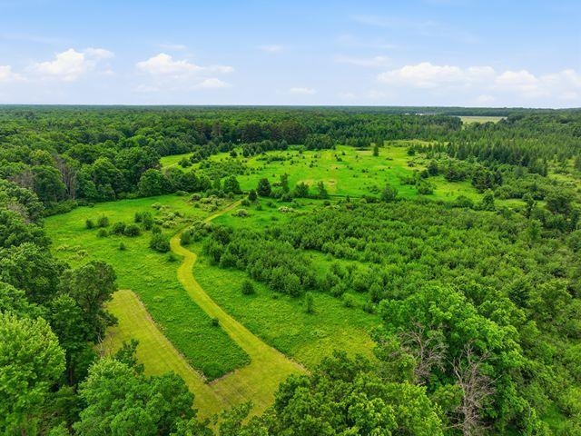 00 HOLST ROAD, Pittsville, Wisconsin 54466, ,Land,For Sale,00 HOLST ROAD,22602766