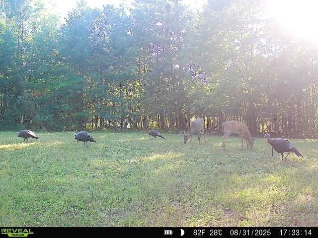 W7512 POERTNER ROAD, Neillsville, Wisconsin 54456, 3 Bedrooms Bedrooms, ,2 BathroomsBathrooms,Residential,For Sale,W7512 POERTNER ROAD,22602803