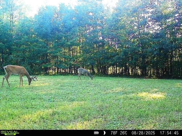 W7512 POERTNER ROAD, Neillsville, Wisconsin 54456, 3 Bedrooms Bedrooms, ,2 BathroomsBathrooms,Residential,For Sale,W7512 POERTNER ROAD,22602803