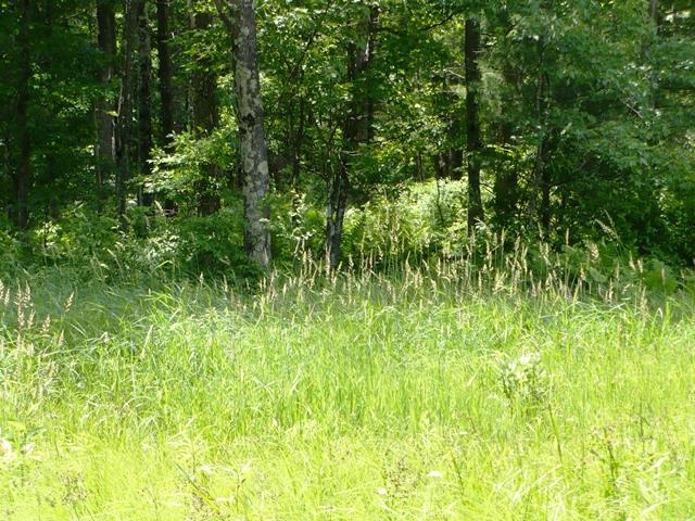 W7512 POERTNER ROAD, Neillsville, Wisconsin 54456, 3 Bedrooms Bedrooms, ,2 BathroomsBathrooms,Residential,For Sale,W7512 POERTNER ROAD,22602803