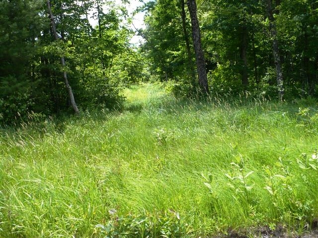 W7512 POERTNER ROAD, Neillsville, Wisconsin 54456, 3 Bedrooms Bedrooms, ,2 BathroomsBathrooms,Residential,For Sale,W7512 POERTNER ROAD,22602803