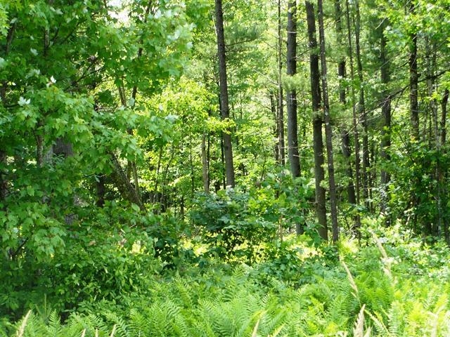 W7512 POERTNER ROAD, Neillsville, Wisconsin 54456, 3 Bedrooms Bedrooms, ,2 BathroomsBathrooms,Residential,For Sale,W7512 POERTNER ROAD,22602803