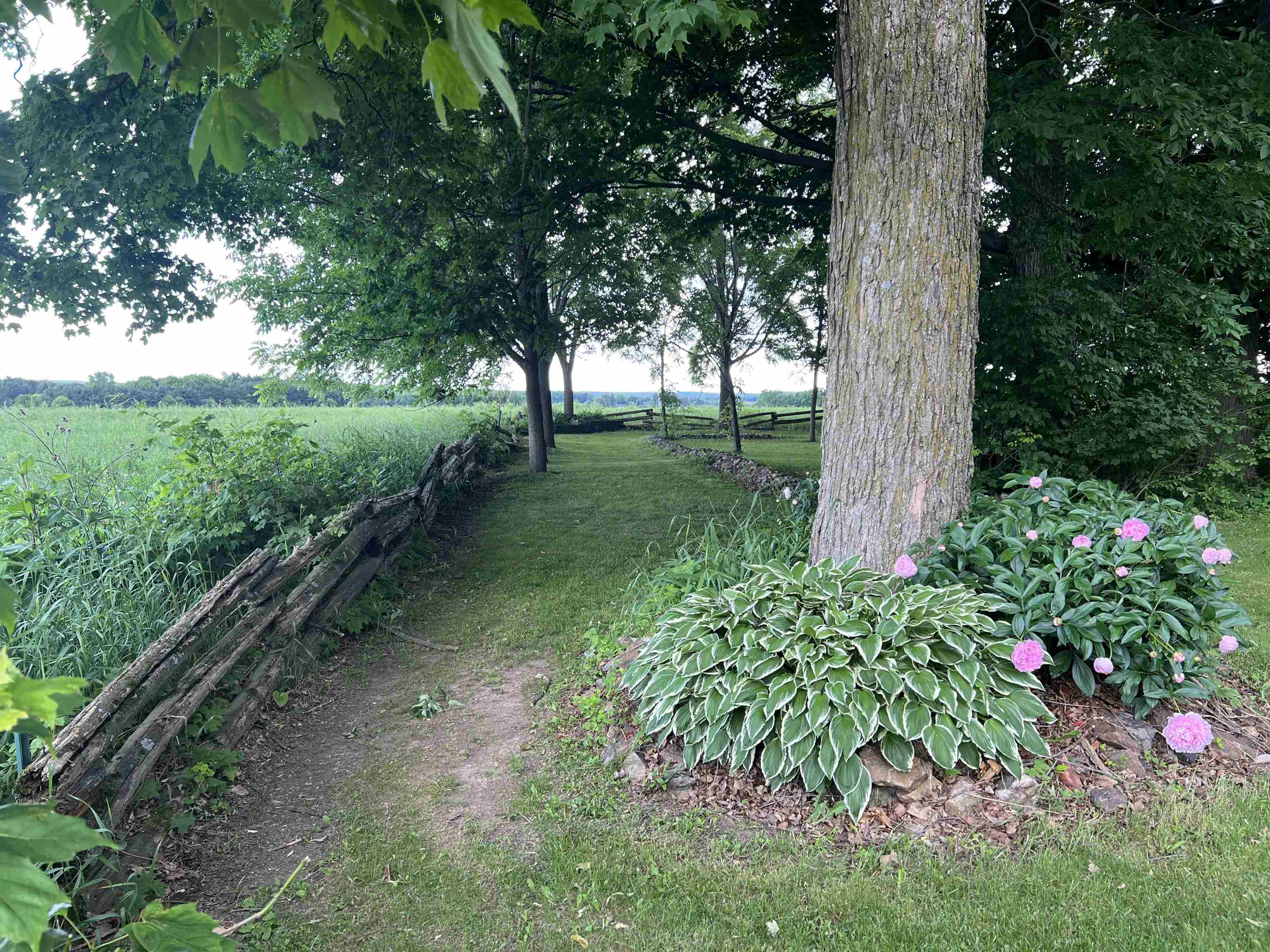 130403 COUNTY ROAD C, Auburndale, Wisconsin 54412, 3 Bedrooms Bedrooms, ,3 BathroomsBathrooms,Residential,For Sale,130403 COUNTY ROAD C,22602817