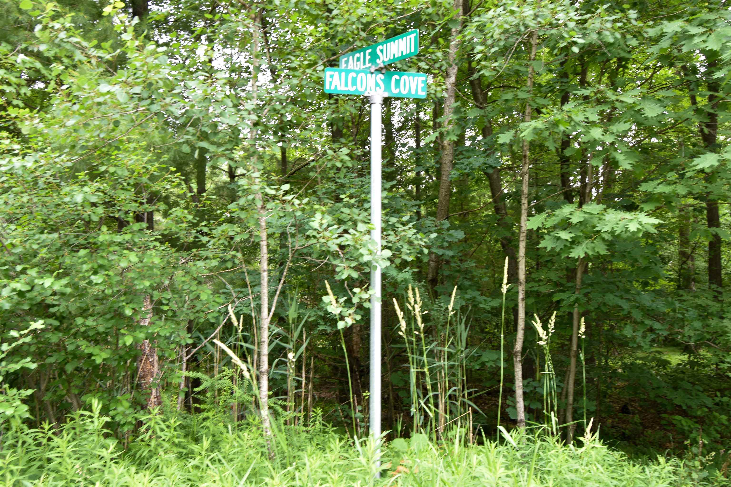 2416 EAGLE SUMMIT, Stevens Point, Wisconsin 54482, ,Land,For Sale,2416 EAGLE SUMMIT,22602915
