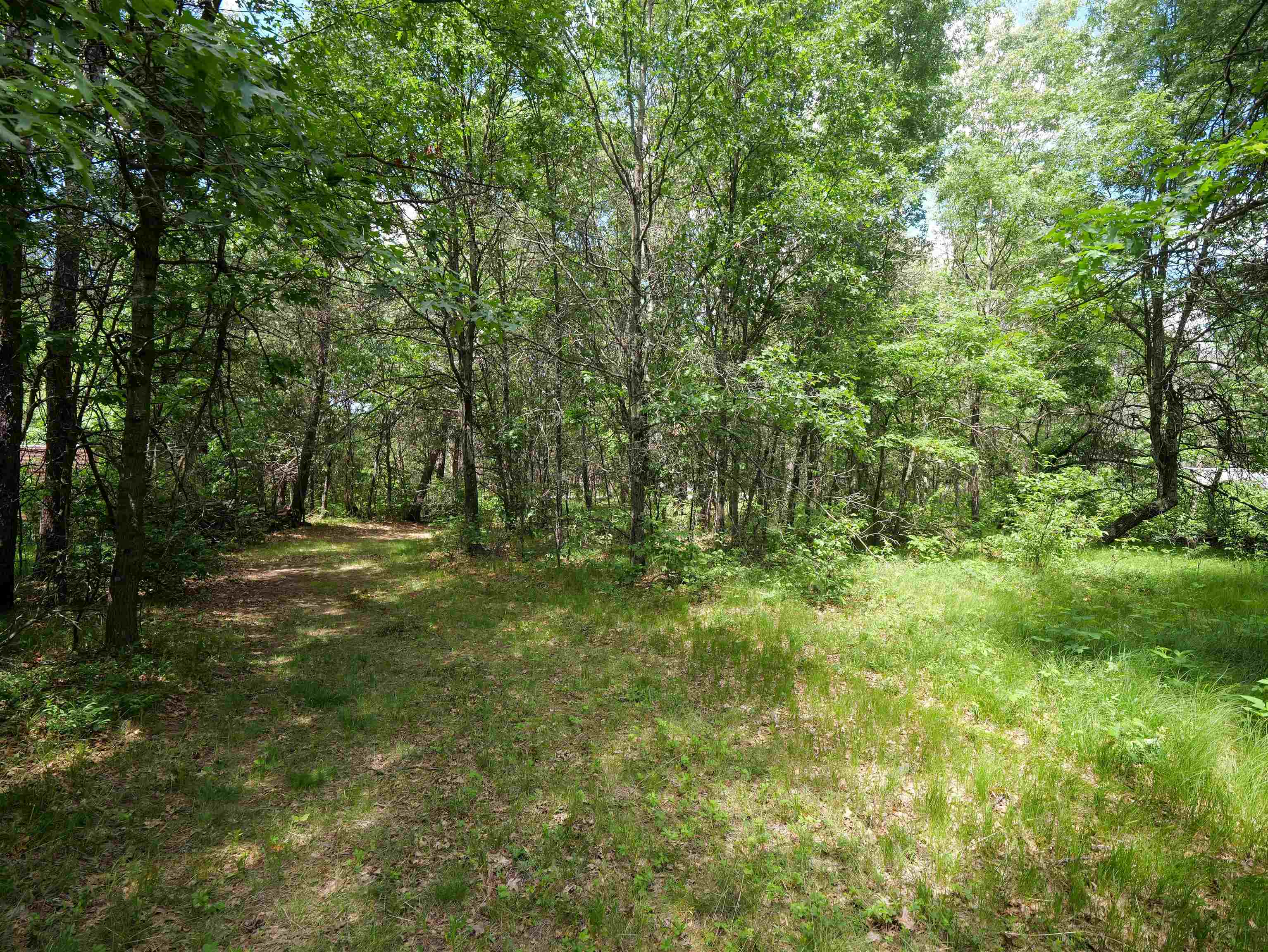 791 FIESTA DRIVE, Nekoosa, Wisconsin 54457, ,Land,For Sale,791 FIESTA DRIVE,22602948