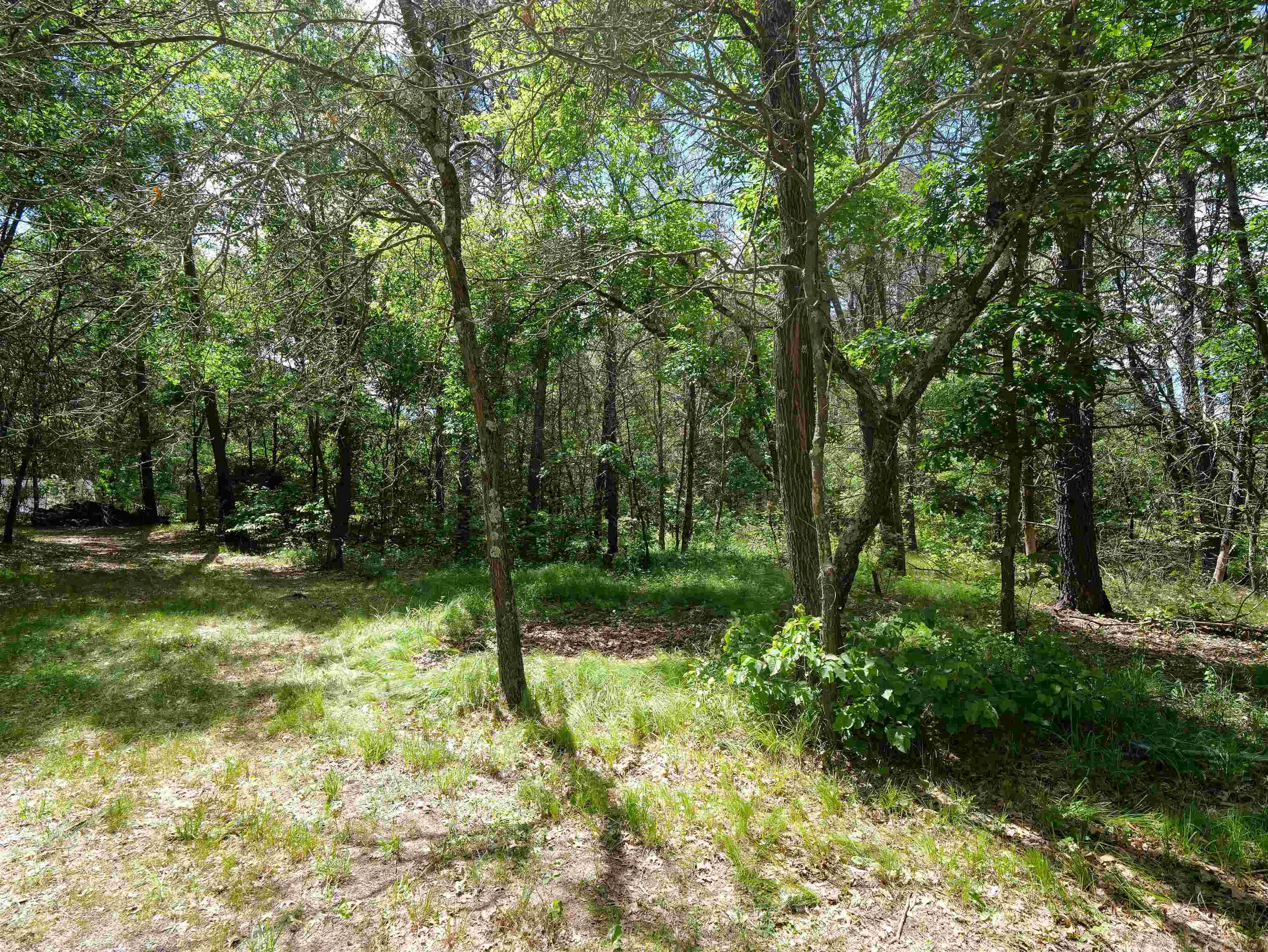 791 FIESTA DRIVE, Nekoosa, Wisconsin 54457, ,Land,For Sale,791 FIESTA DRIVE,22602948