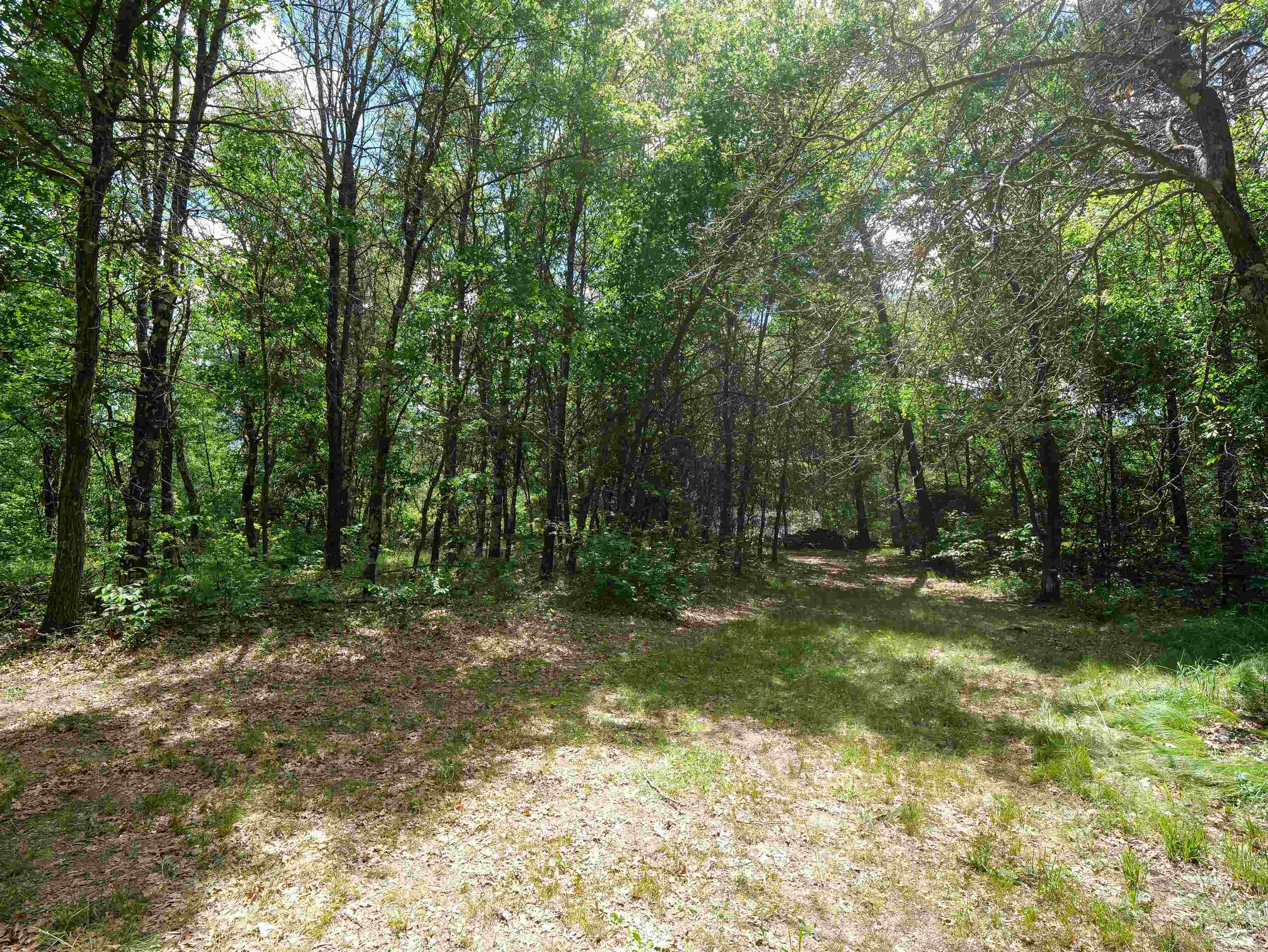 791 FIESTA DRIVE, Nekoosa, Wisconsin 54457, ,Land,For Sale,791 FIESTA DRIVE,22602948