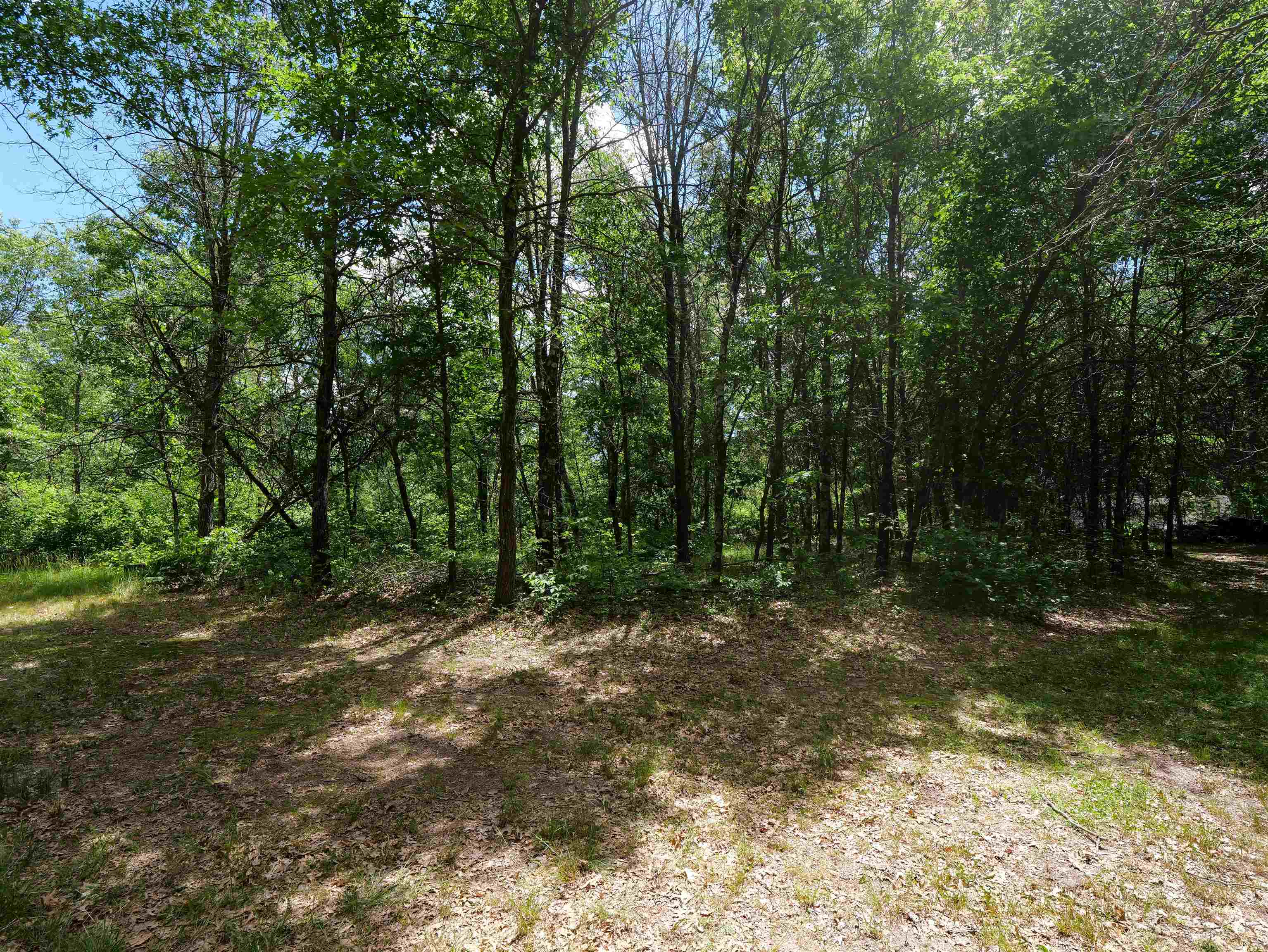 791 FIESTA DRIVE, Nekoosa, Wisconsin 54457, ,Land,For Sale,791 FIESTA DRIVE,22602948