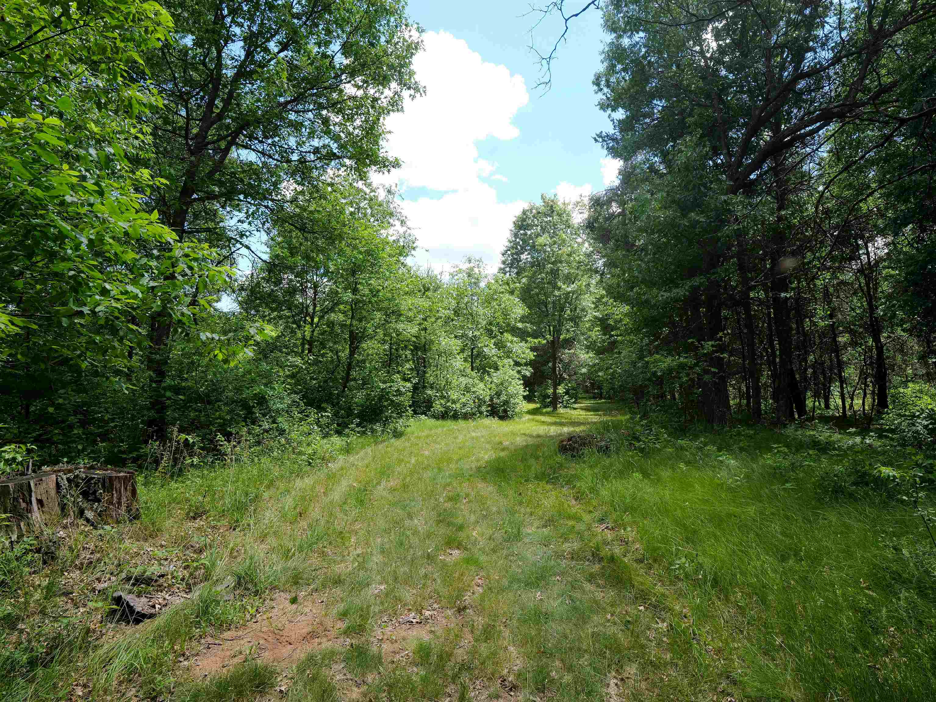 791 FIESTA DRIVE, Nekoosa, Wisconsin 54457, ,Land,For Sale,791 FIESTA DRIVE,22602948