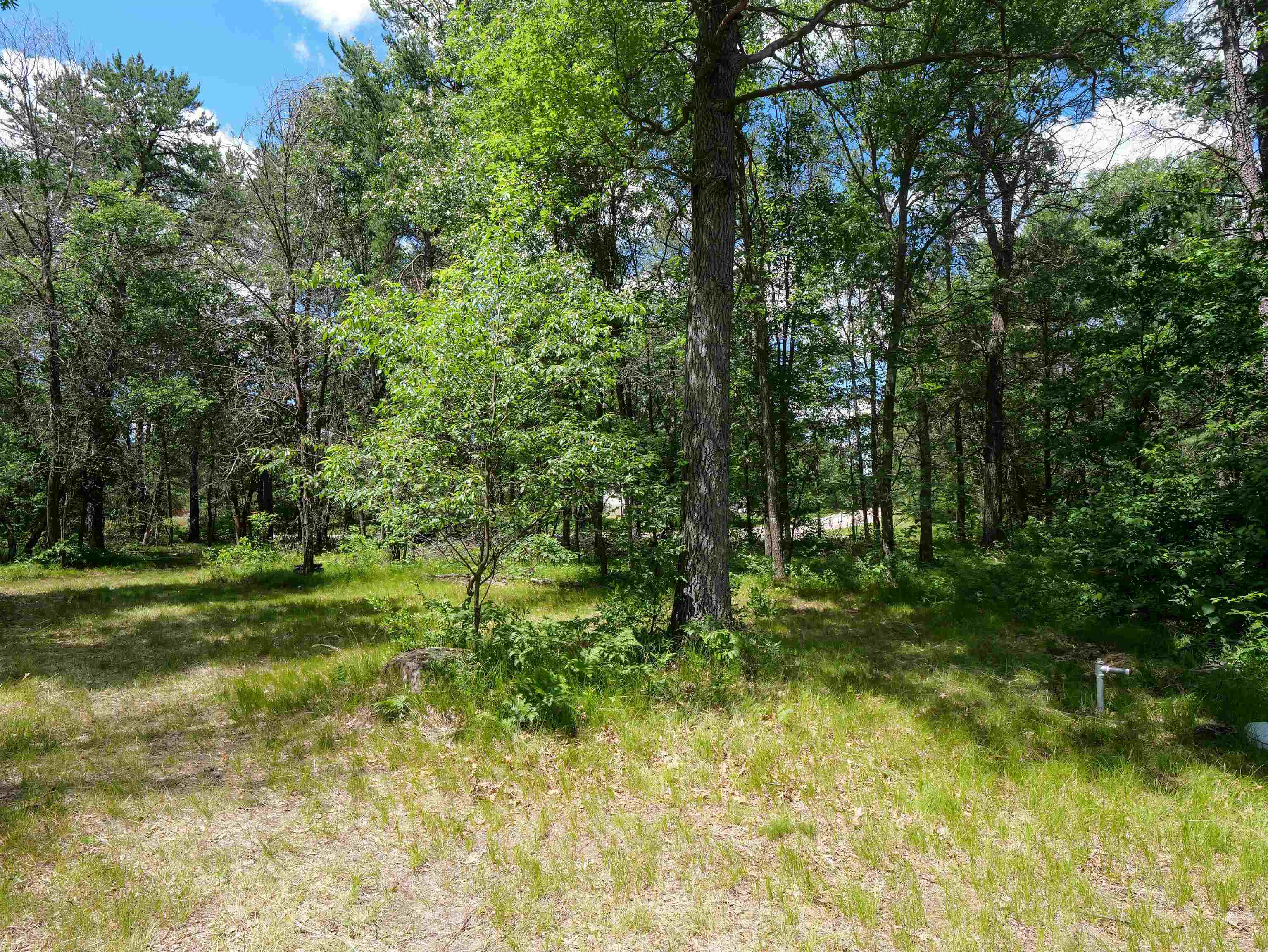 791 FIESTA DRIVE, Nekoosa, Wisconsin 54457, ,Land,For Sale,791 FIESTA DRIVE,22602948