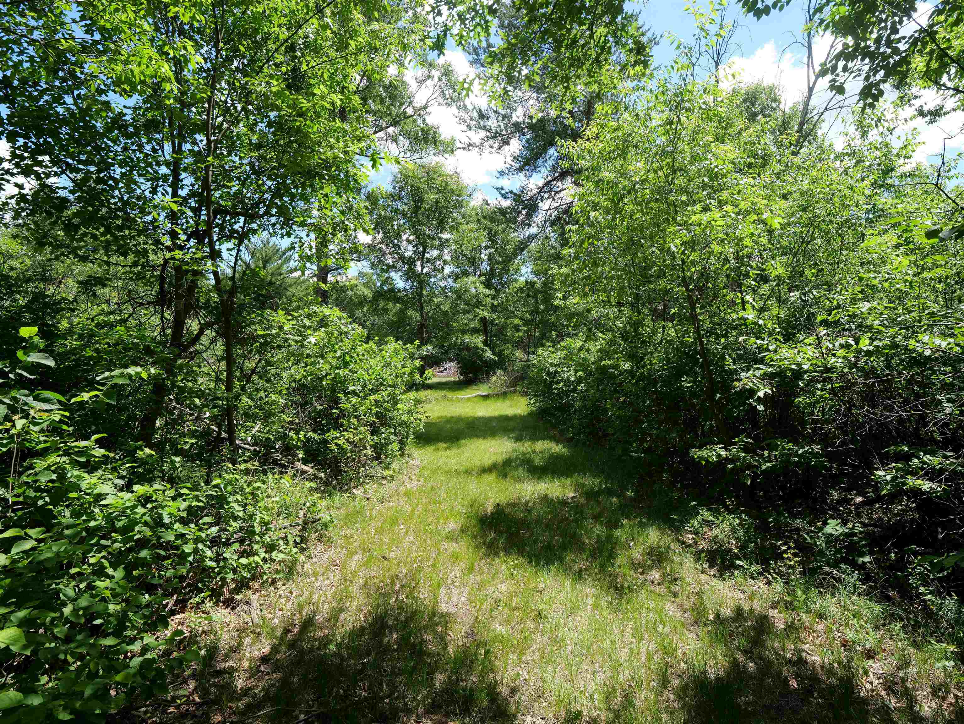 791 FIESTA DRIVE, Nekoosa, Wisconsin 54457, ,Land,For Sale,791 FIESTA DRIVE,22602948