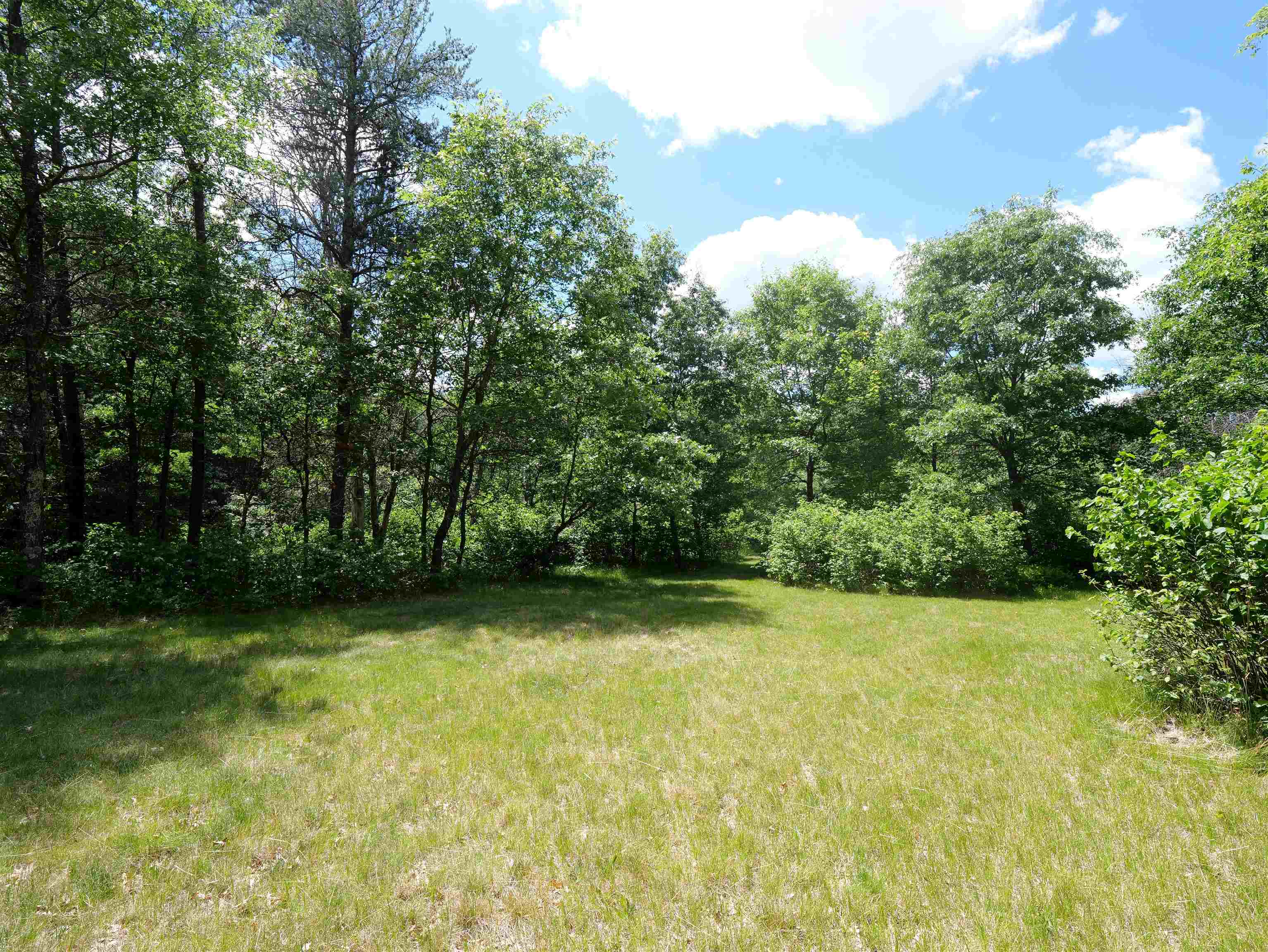 791 FIESTA DRIVE, Nekoosa, Wisconsin 54457, ,Land,For Sale,791 FIESTA DRIVE,22602948