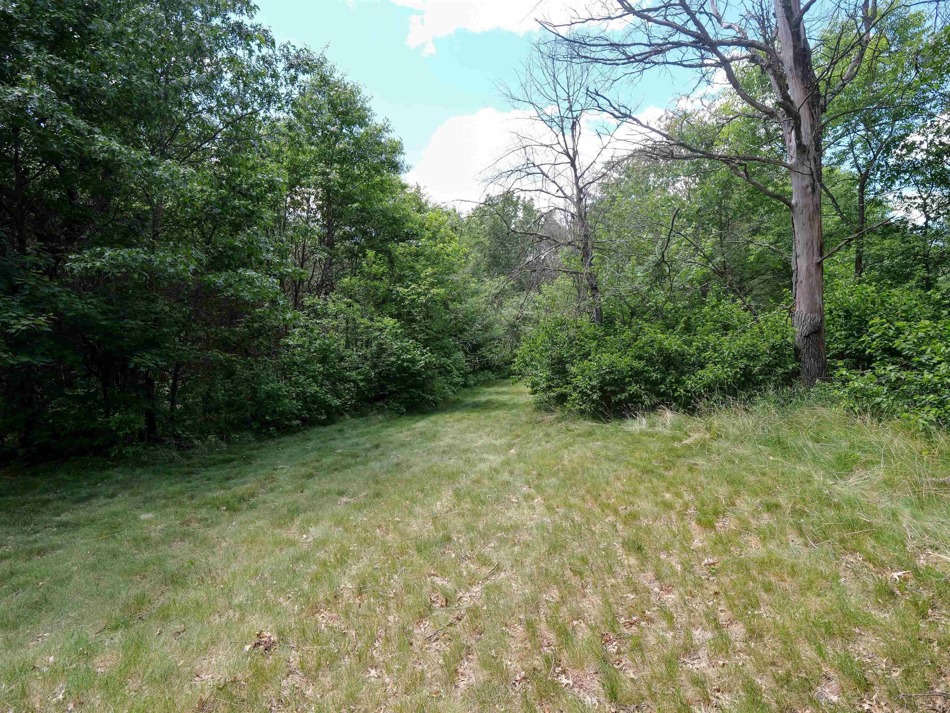791 FIESTA DRIVE, Nekoosa, Wisconsin 54457, ,Land,For Sale,791 FIESTA DRIVE,22602948