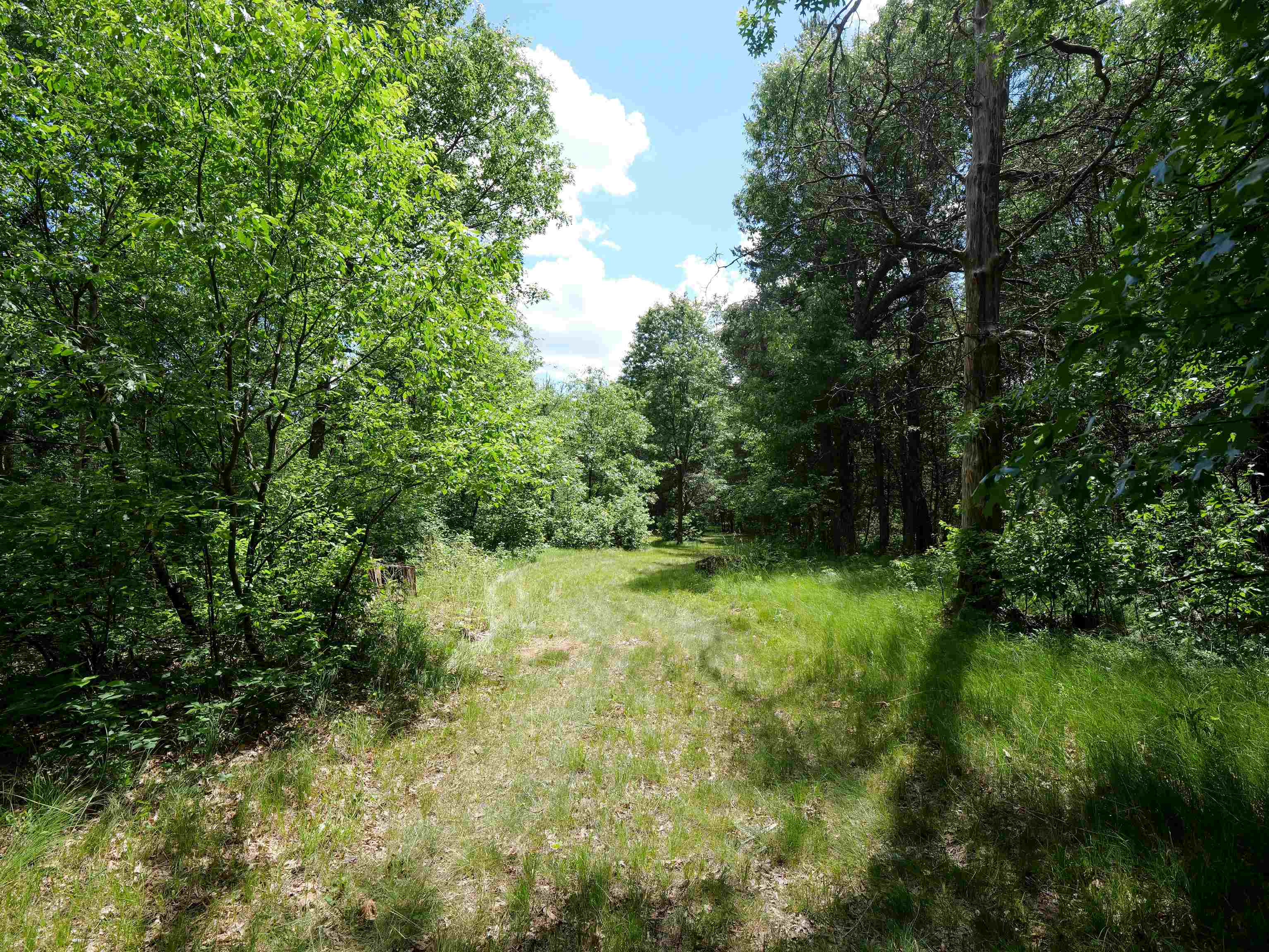 791 FIESTA DRIVE, Nekoosa, Wisconsin 54457, ,Land,For Sale,791 FIESTA DRIVE,22602948