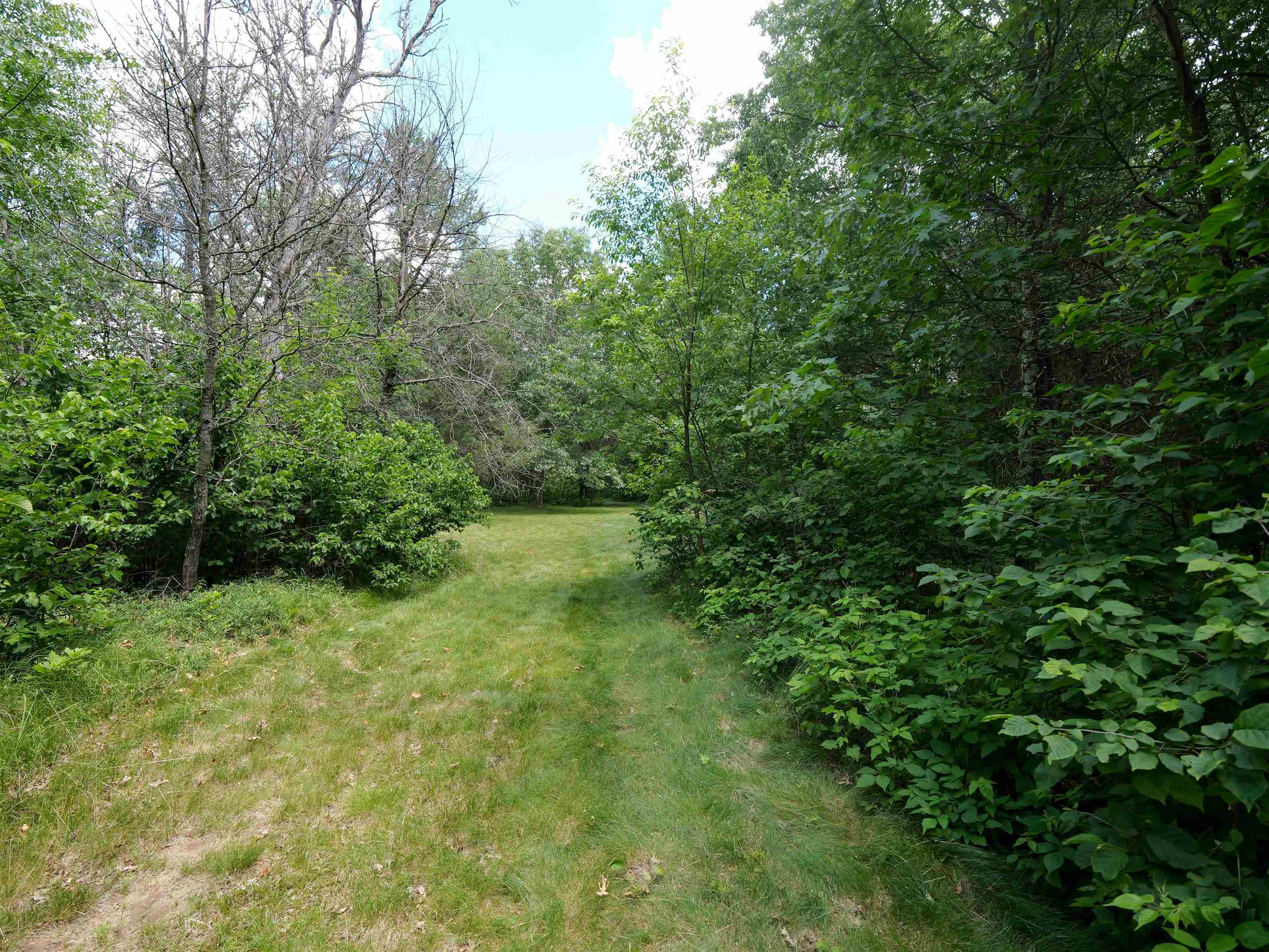 791 FIESTA DRIVE, Nekoosa, Wisconsin 54457, ,Land,For Sale,791 FIESTA DRIVE,22602948