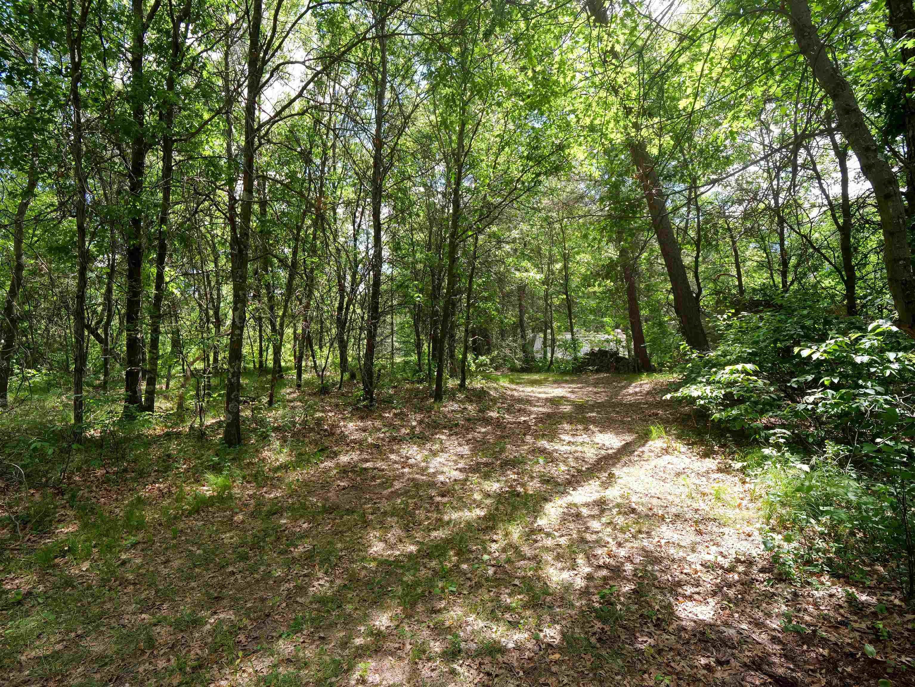 791 FIESTA DRIVE, Nekoosa, Wisconsin 54457, ,Land,For Sale,791 FIESTA DRIVE,22602948