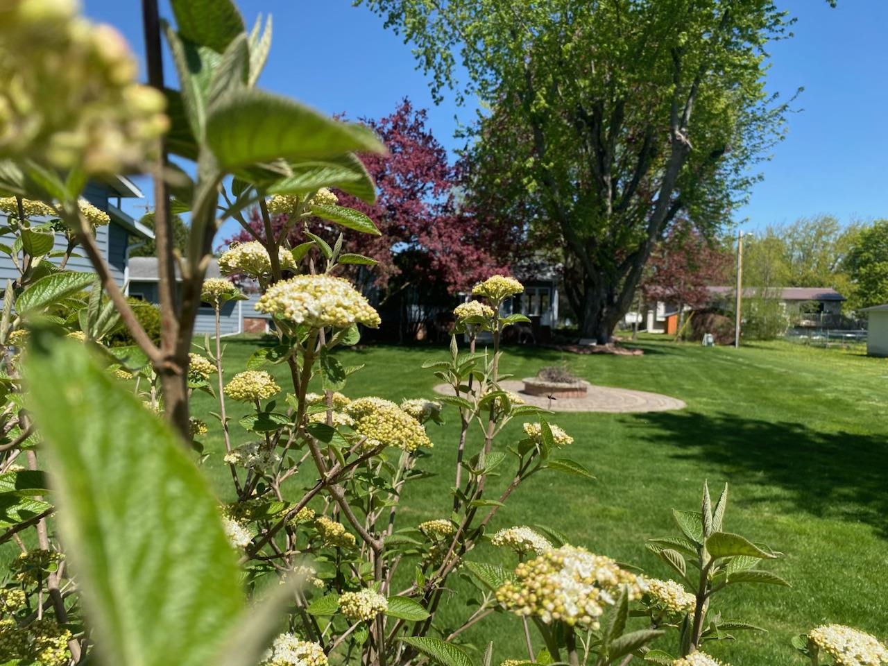 704 S Lasalle Street, Spencer, Wisconsin 54484, 2 Bedrooms Bedrooms, ,2 BathroomsBathrooms,Residential,For Sale,704 S Lasalle Street,22603097