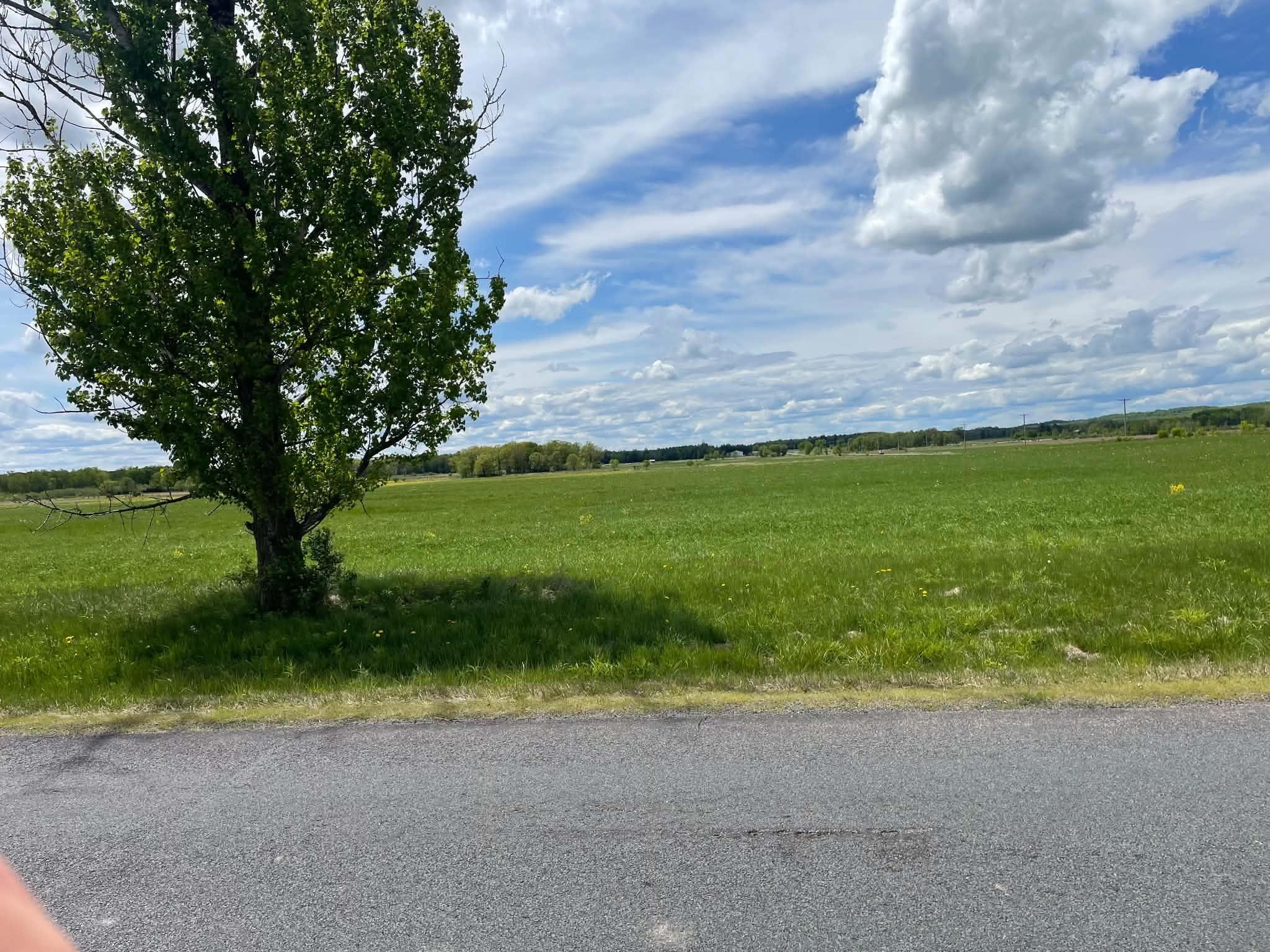 2200302C POLISH ROAD, Pittsville, Wisconsin 54466, ,Land,For Sale,2200302C POLISH ROAD,22603213