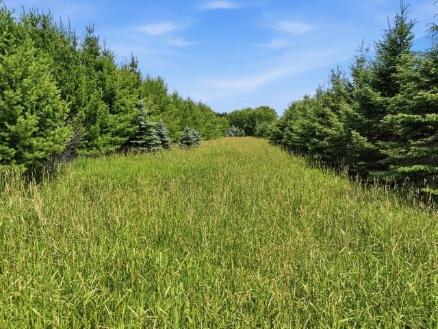 3205 W MCMILLAN STREET, Marshfield, Wisconsin 54449, 4 Bedrooms Bedrooms, ,3 BathroomsBathrooms,Residential,For Sale,3205 W MCMILLAN STREET,22603252