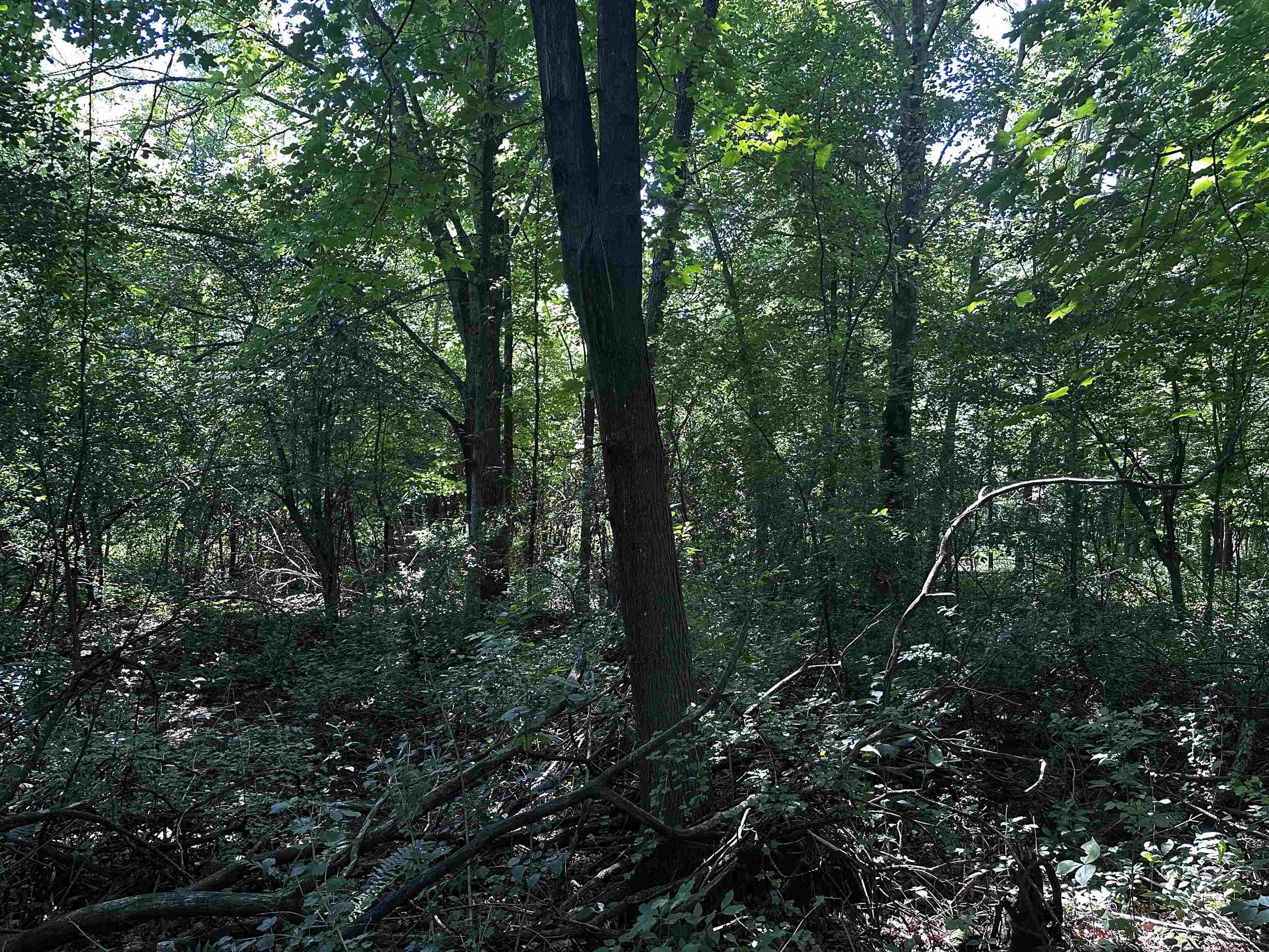 03 Acorn Drive