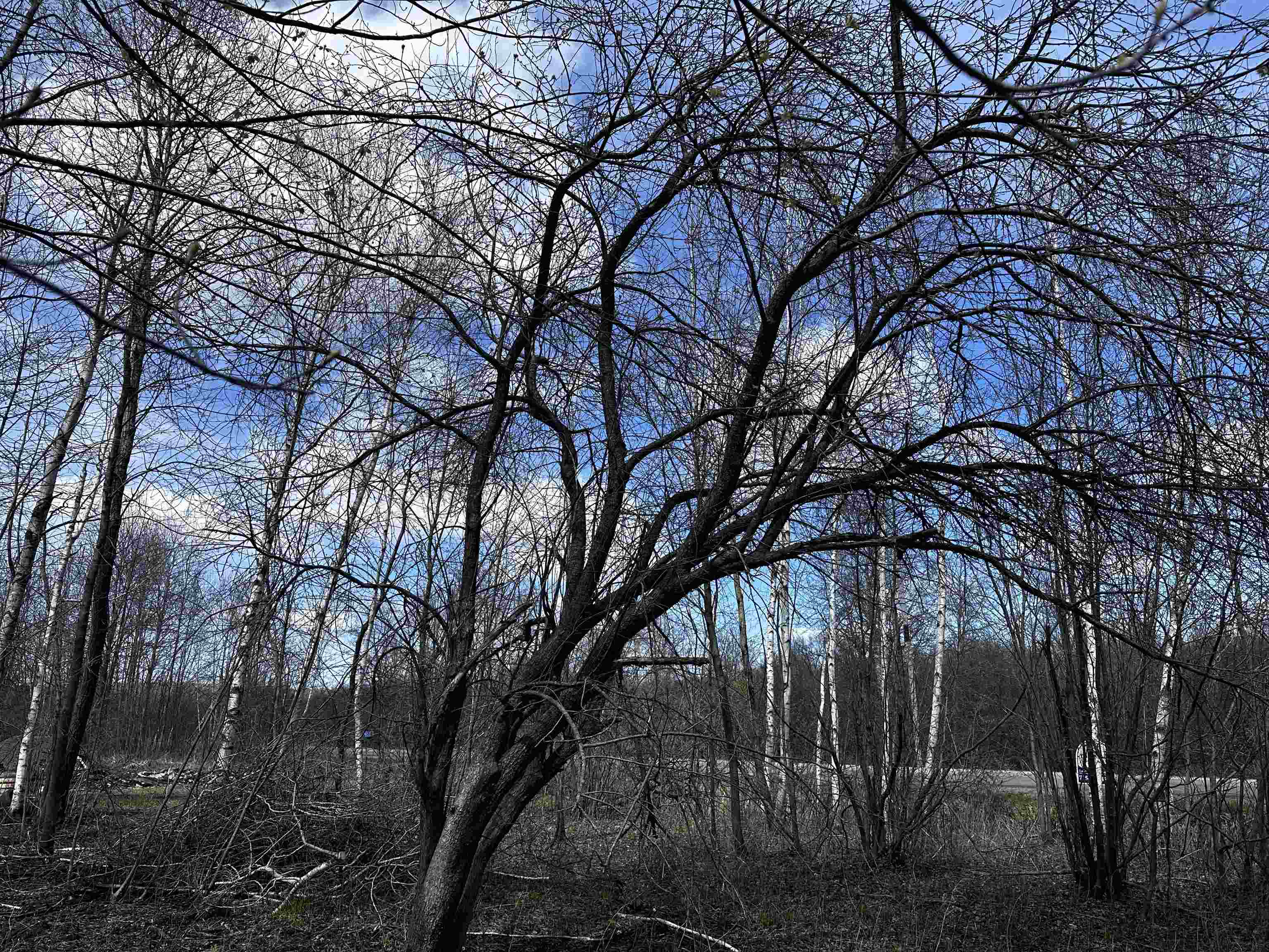 02 Hickory Road
