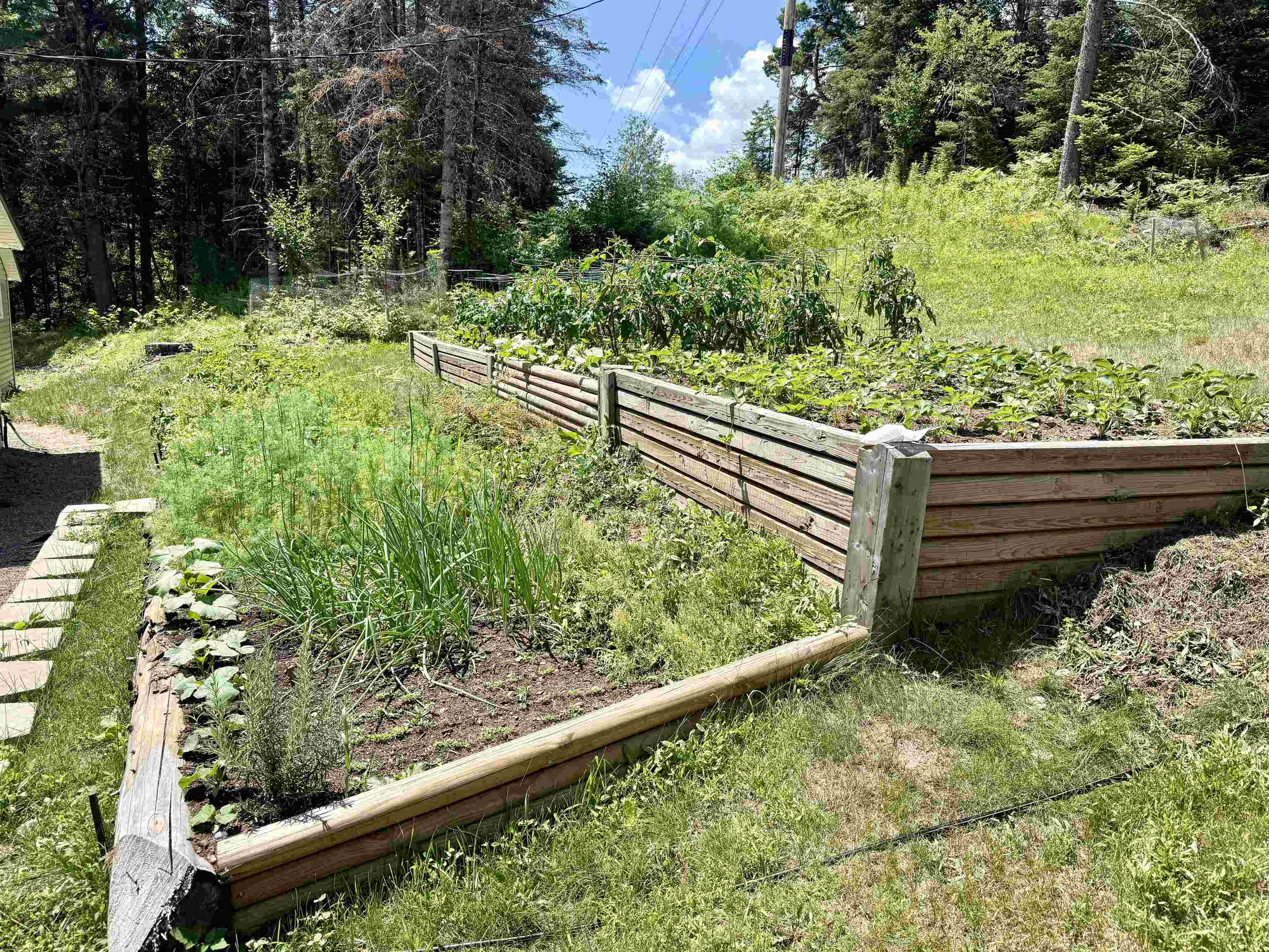 W3438 STATE HIGHWAY 182, Park Falls, Wisconsin 54552, 4 Bedrooms Bedrooms, ,2 BathroomsBathrooms,Residential,For Sale,W3438 STATE HIGHWAY 182,22603377