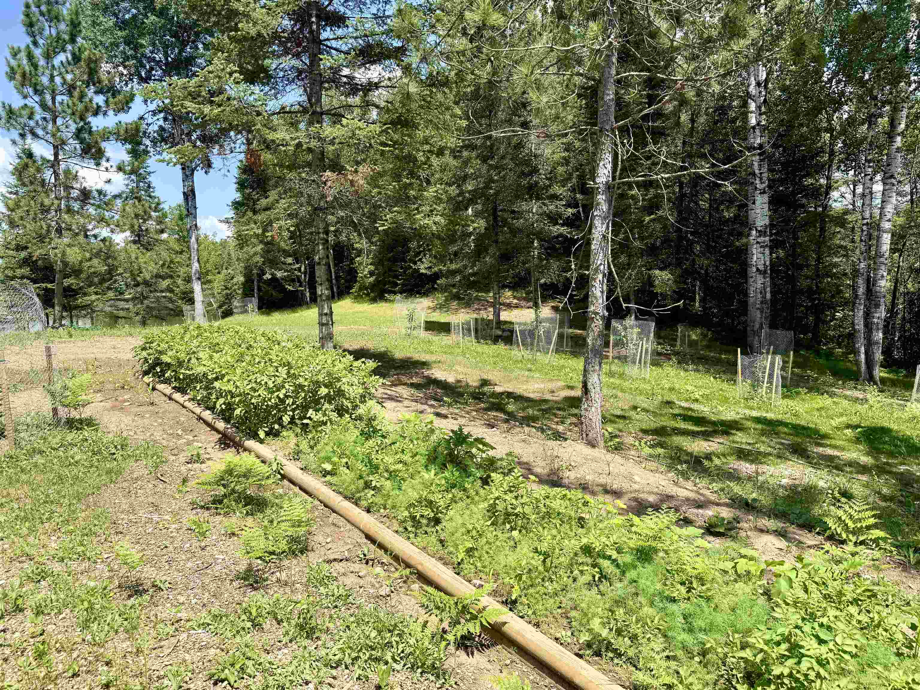 W3438 STATE HIGHWAY 182, Park Falls, Wisconsin 54552, 4 Bedrooms Bedrooms, ,2 BathroomsBathrooms,Residential,For Sale,W3438 STATE HIGHWAY 182,22603377