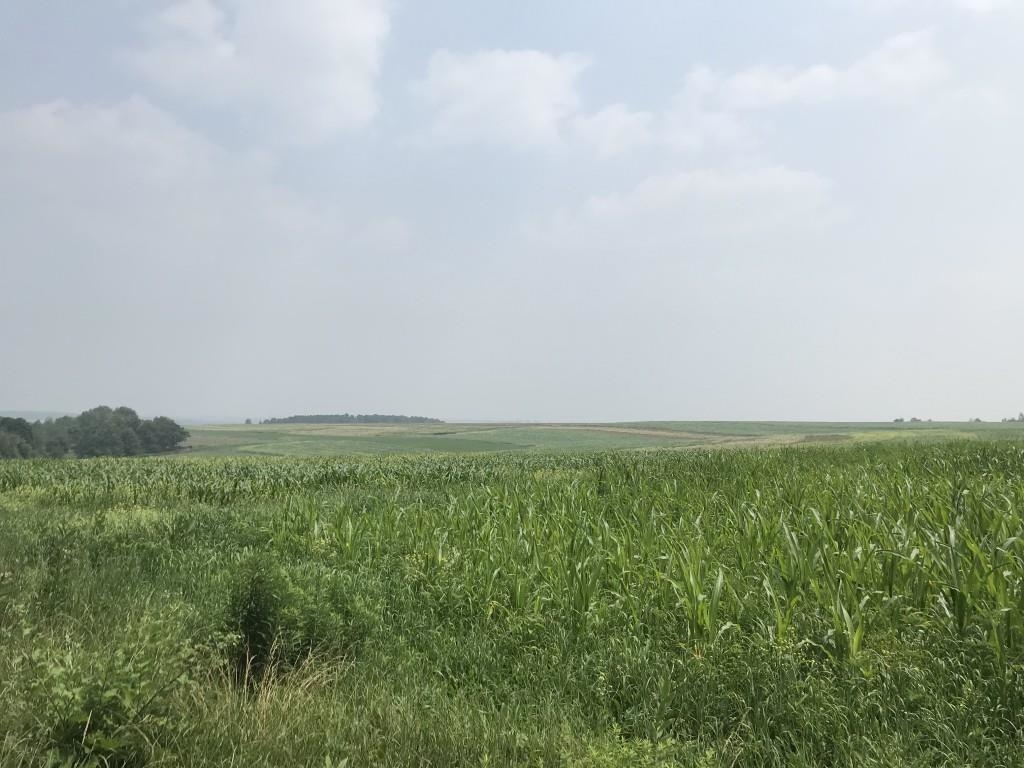 10 Acres LINCOLN DRIVE, Athens, Wisconsin 54411, ,Land,For Sale,10 Acres LINCOLN DRIVE,22603393
