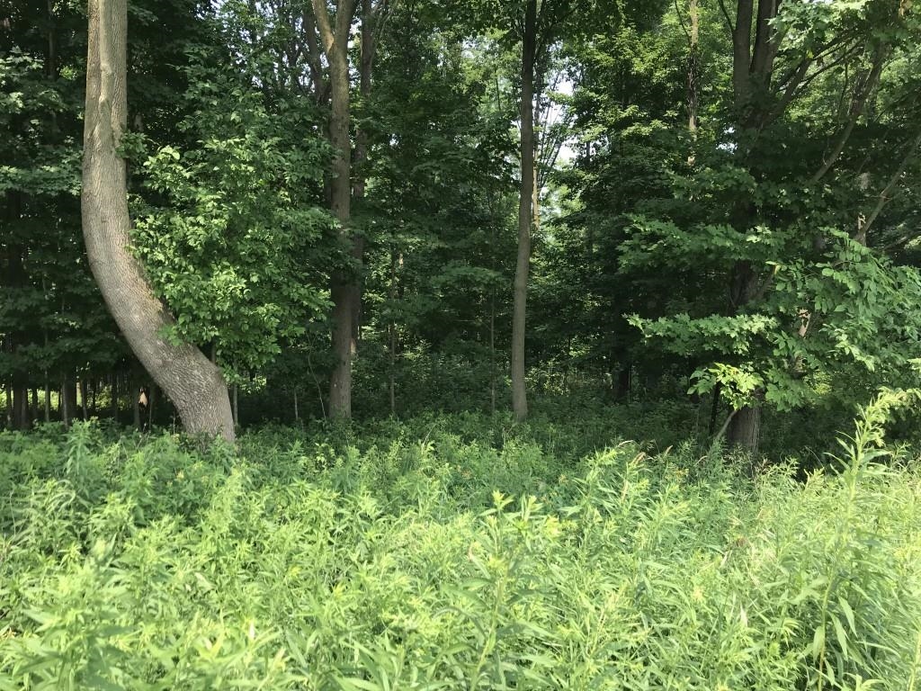 10 Acres LINCOLN DRIVE, Athens, Wisconsin 54411, ,Land,For Sale,10 Acres LINCOLN DRIVE,22603393