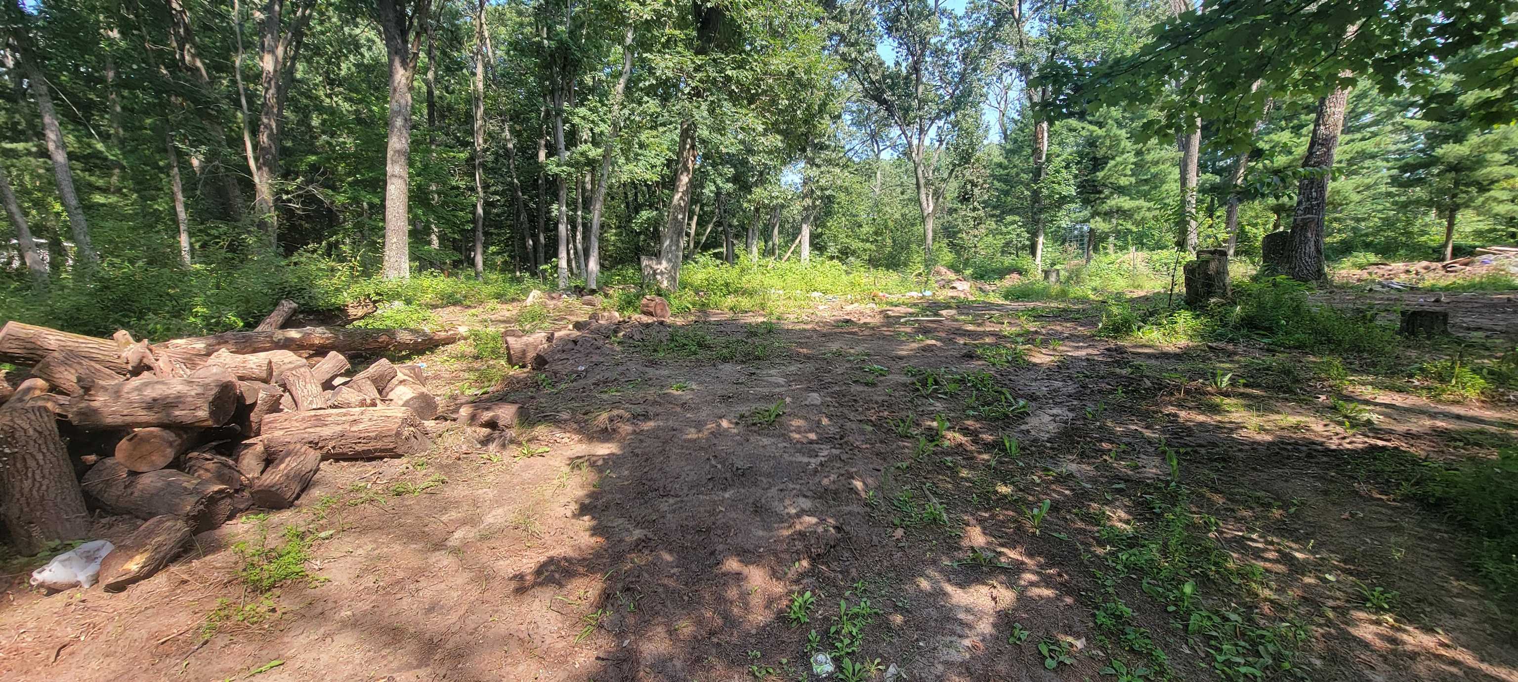 2978 6TH AVENUE, Grand Marsh, Wisconsin 53936, ,Land,For Sale,2978 6TH AVENUE,22603441