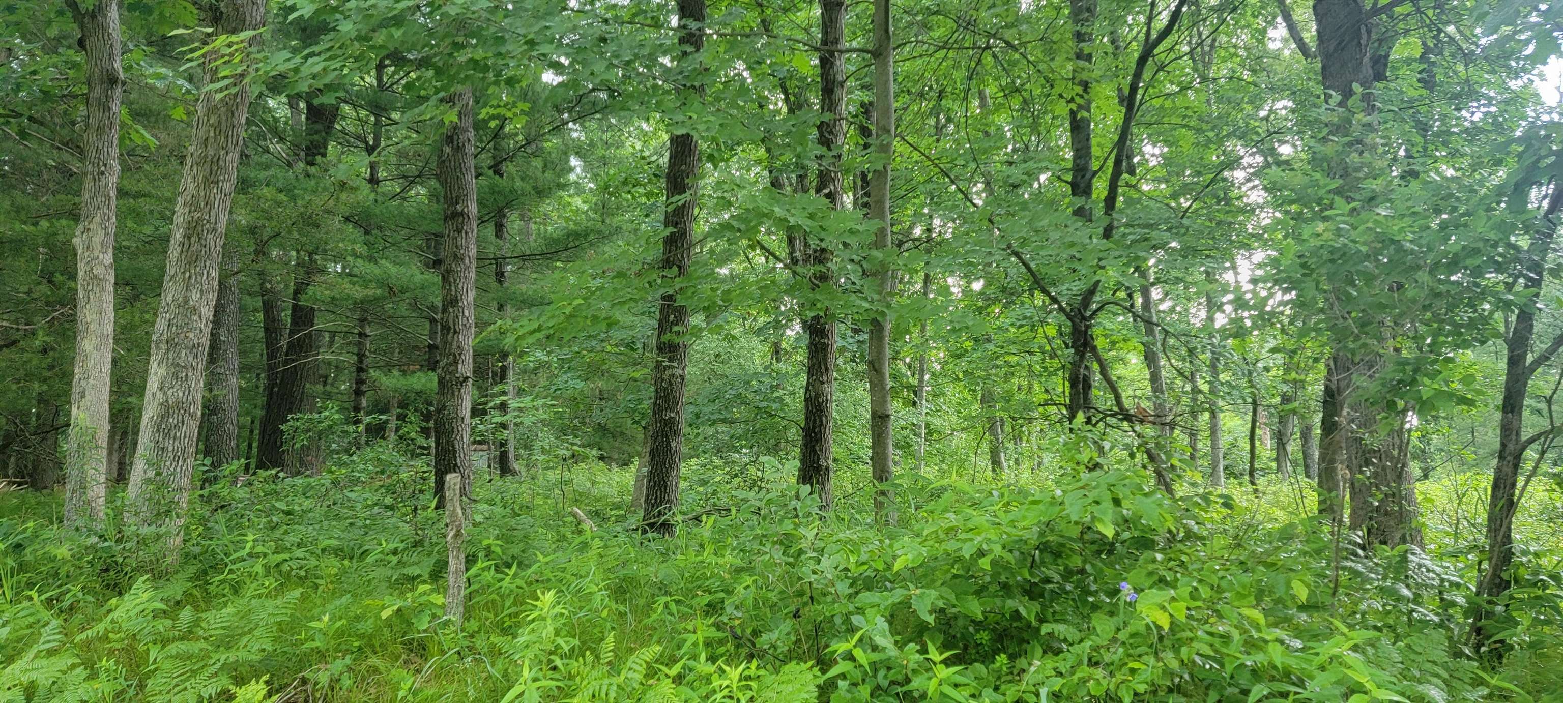 2978 6TH AVENUE, Grand Marsh, Wisconsin 53936, ,Land,For Sale,2978 6TH AVENUE,22603441