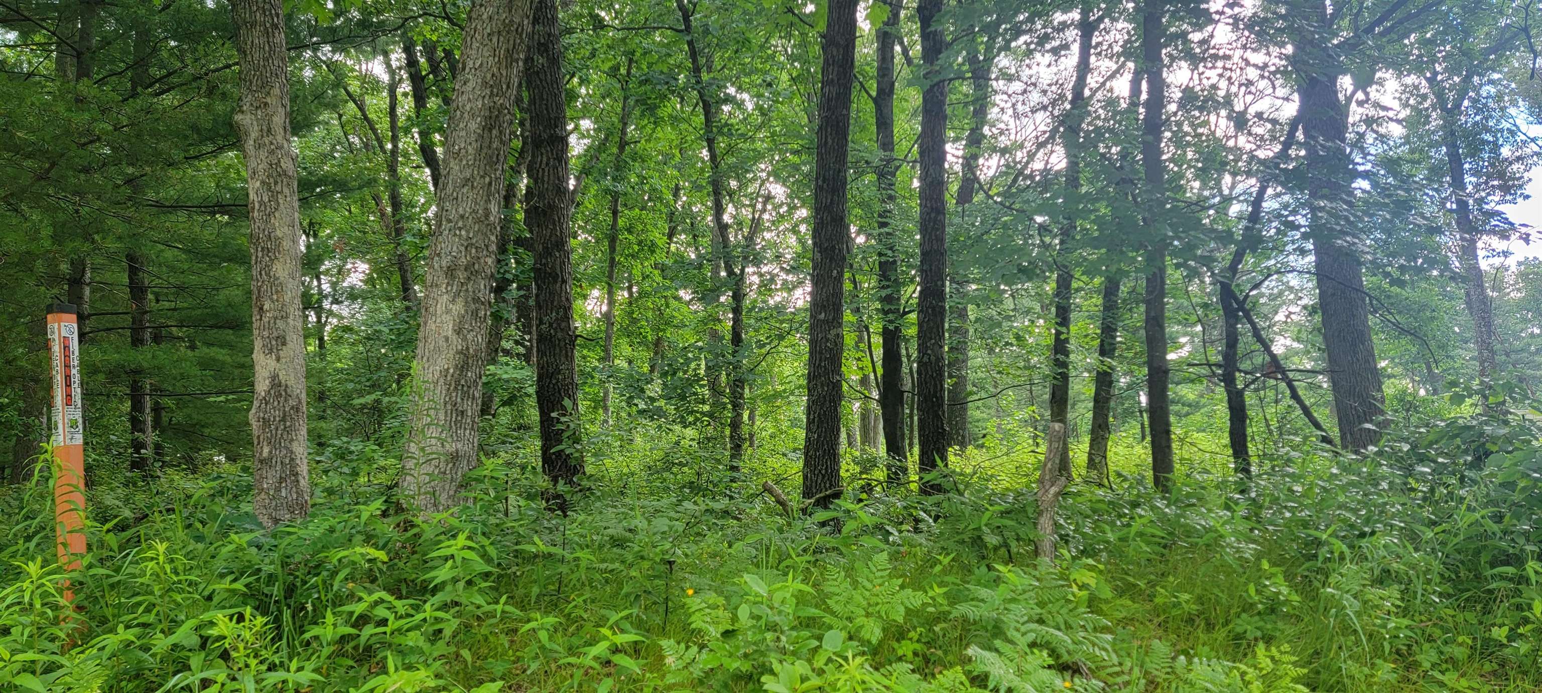 2978 6TH AVENUE, Grand Marsh, Wisconsin 53936, ,Land,For Sale,2978 6TH AVENUE,22603441