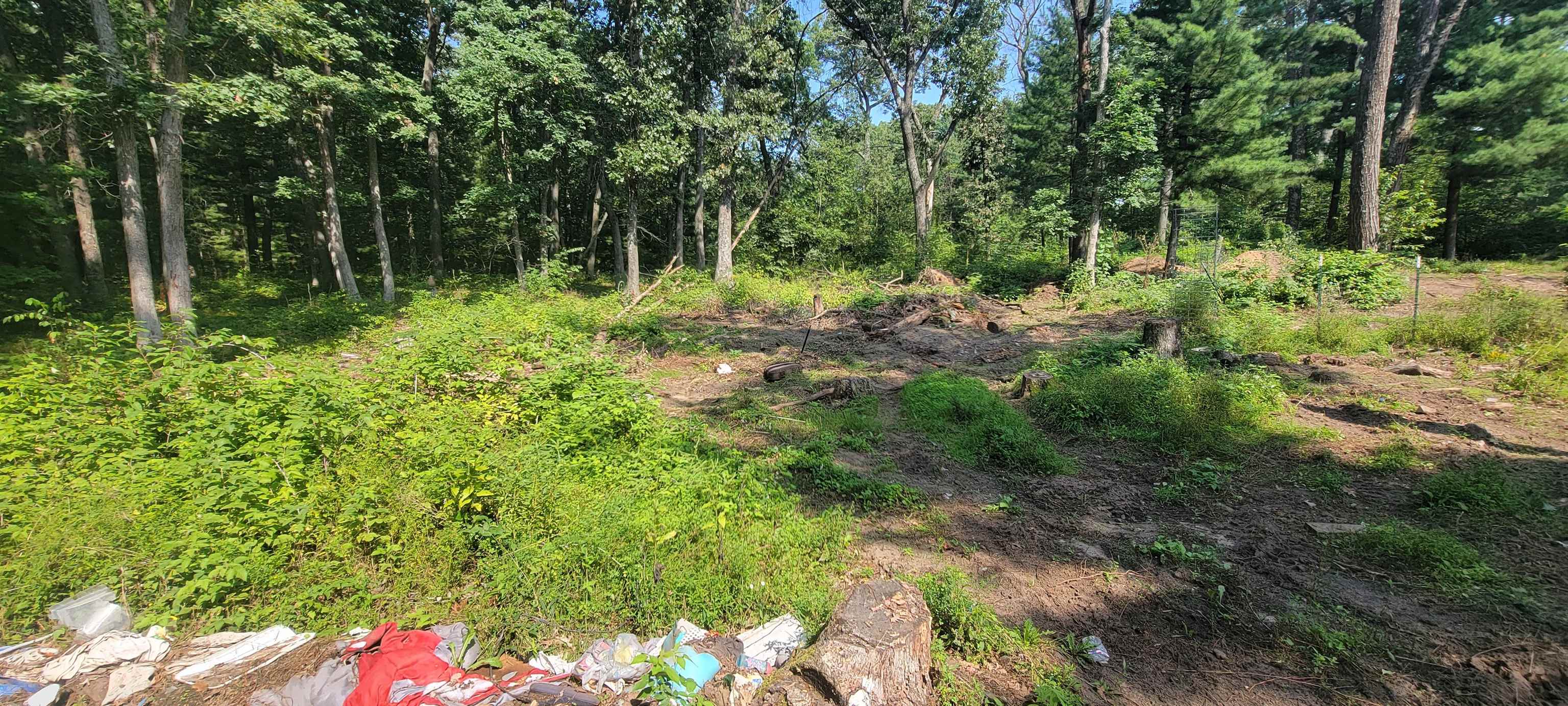 2978 6TH AVENUE, Grand Marsh, Wisconsin 53936, ,Land,For Sale,2978 6TH AVENUE,22603441