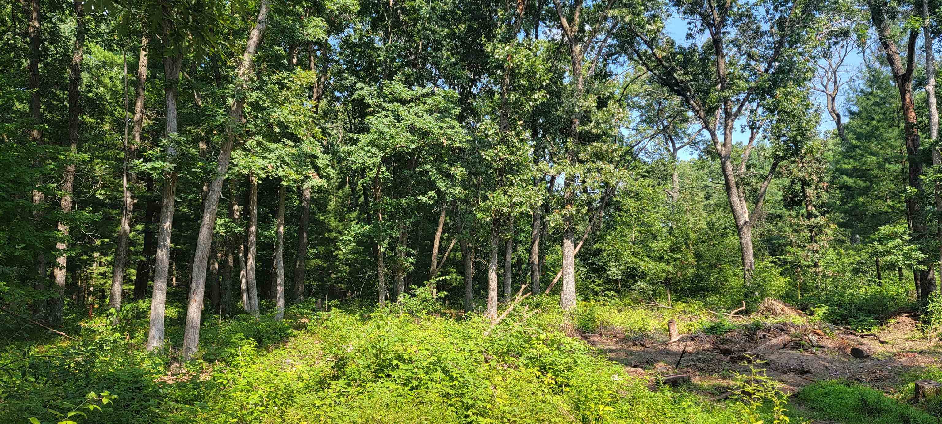 2978 6TH AVENUE, Grand Marsh, Wisconsin 53936, ,Land,For Sale,2978 6TH AVENUE,22603441