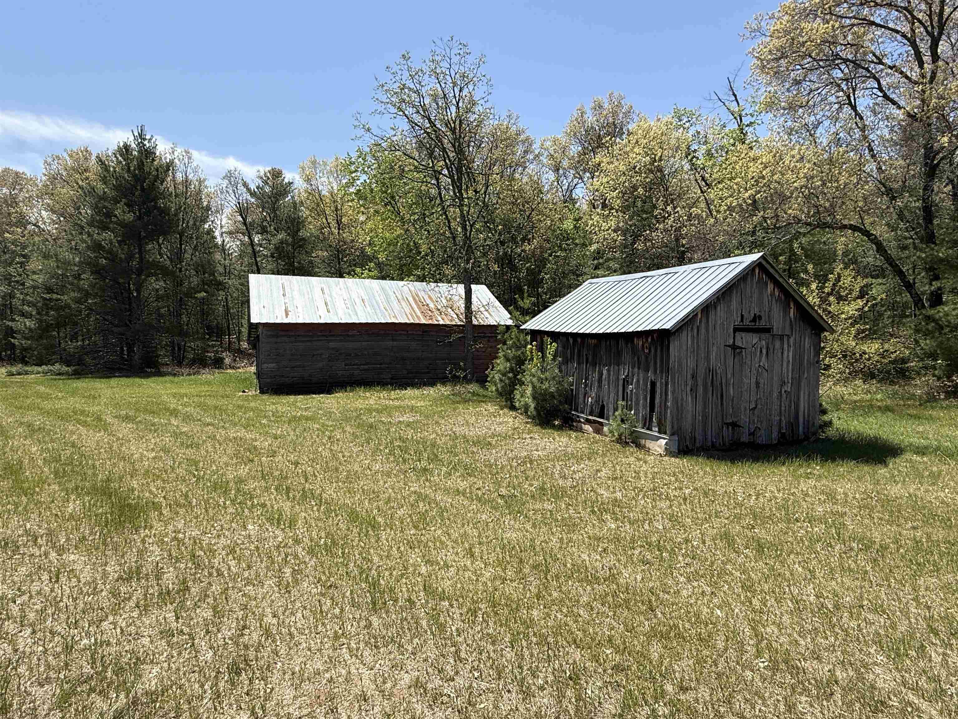 1751 BUTTERCUP AVENUE, Arkdale, Wisconsin 54613, 3 Bedrooms Bedrooms, ,1 BathroomBathrooms,Residential,For Sale,1751 BUTTERCUP AVENUE,22603442