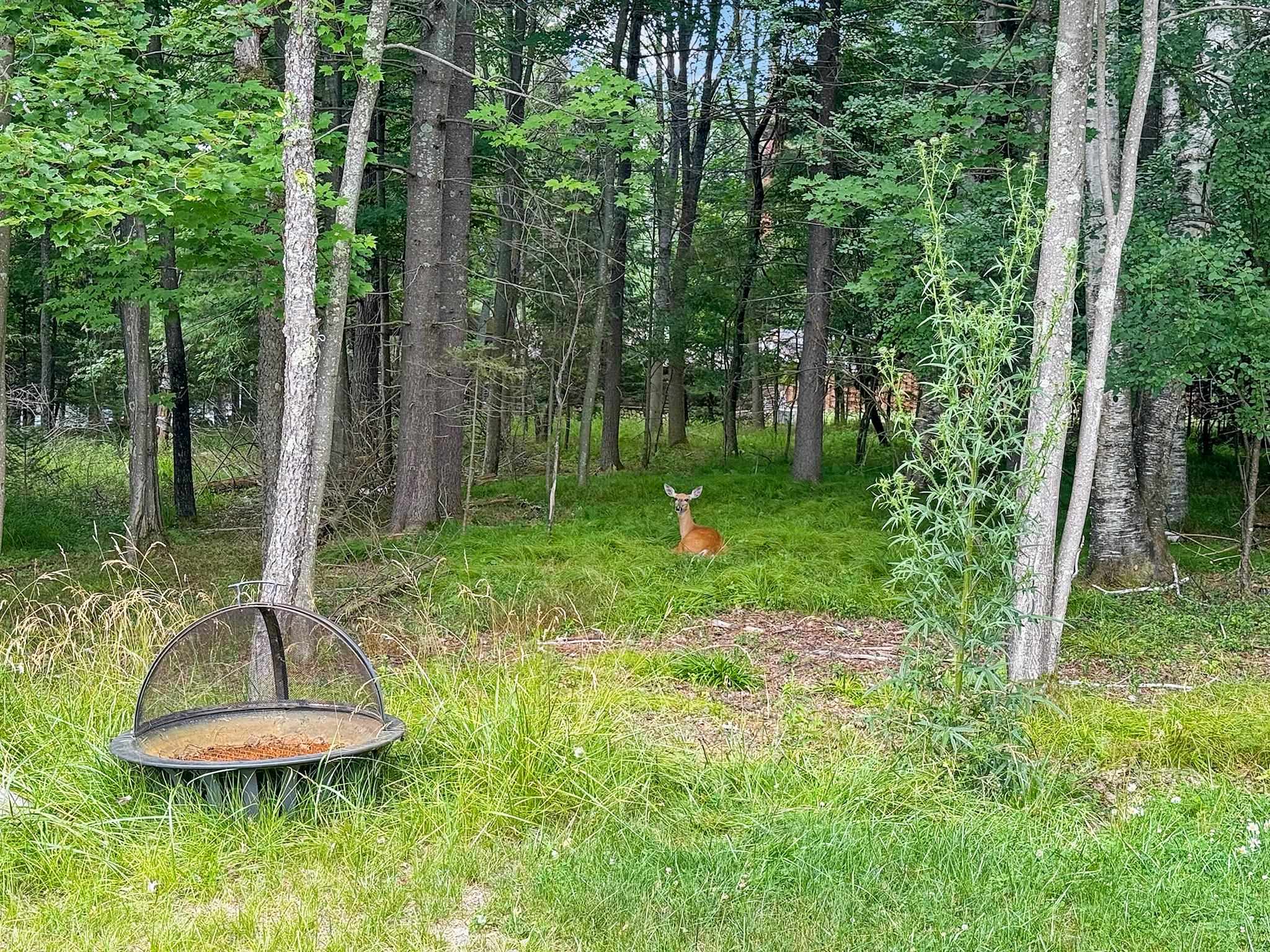 406 W SHERBURN STREET, Eagle River, Wisconsin 54521, 3 Bedrooms Bedrooms, ,2 BathroomsBathrooms,Residential,For Sale,406 W SHERBURN STREET,22603457