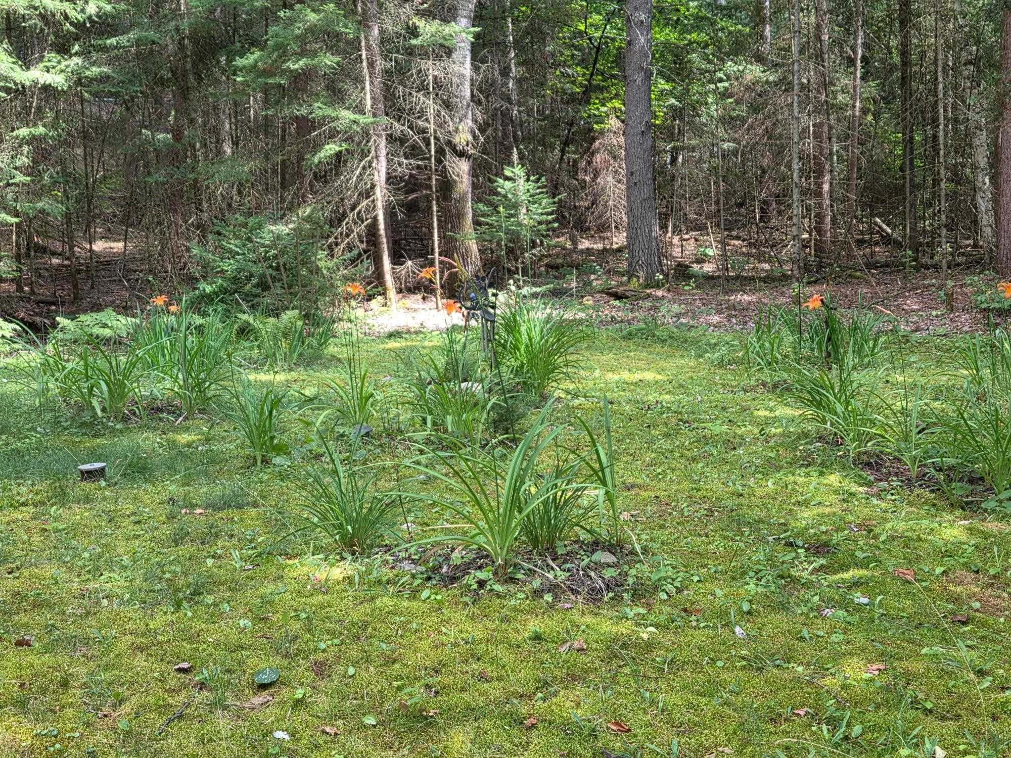 W8172 SOMO DAM DRIVE, Tomahawk, Wisconsin 54487, 3 Bedrooms Bedrooms, ,1 BathroomBathrooms,Residential,For Sale,W8172 SOMO DAM DRIVE,22603503