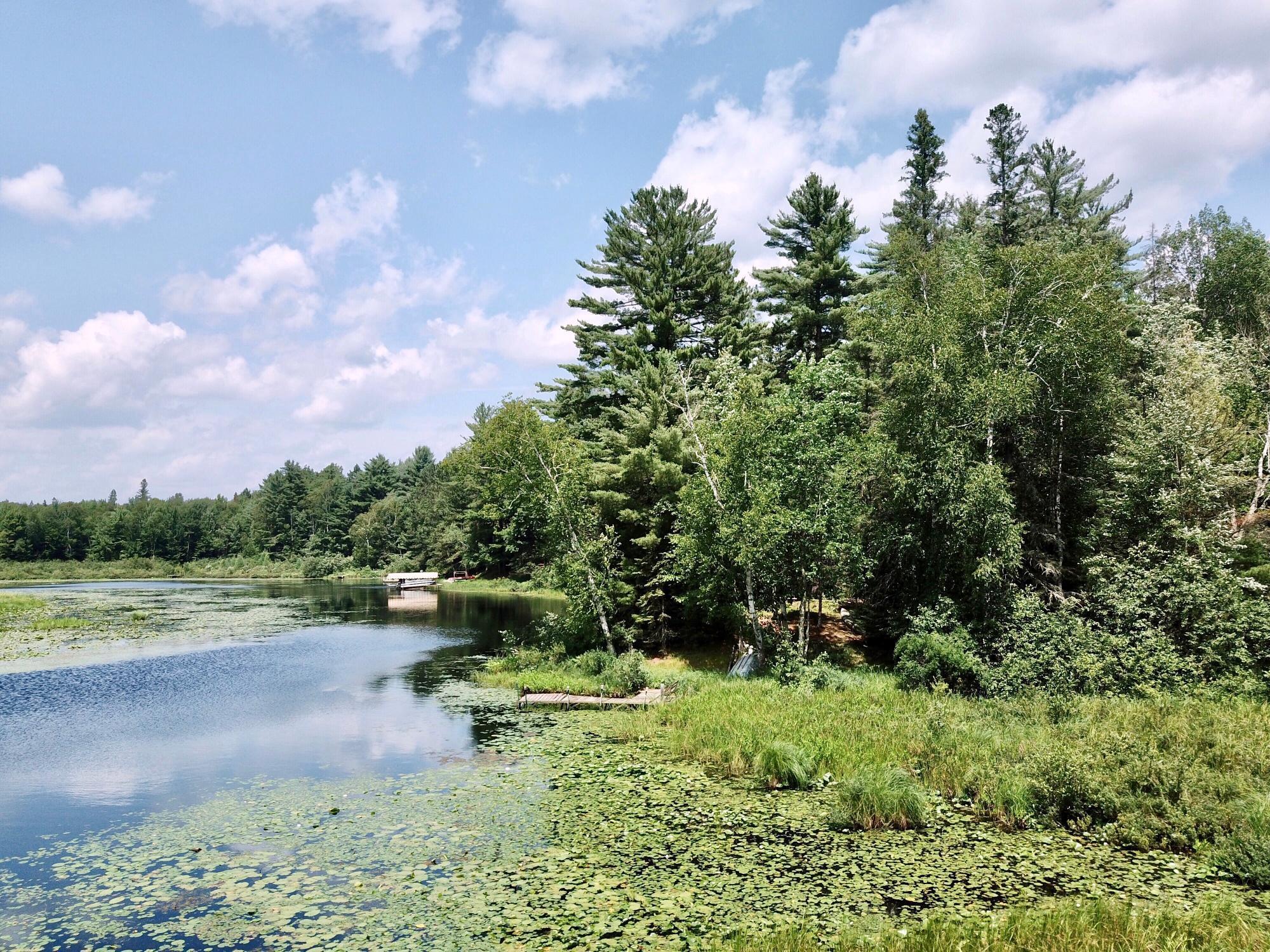 W8172 SOMO DAM DRIVE, Tomahawk, Wisconsin 54487, 3 Bedrooms Bedrooms, ,1 BathroomBathrooms,Residential,For Sale,W8172 SOMO DAM DRIVE,22603503