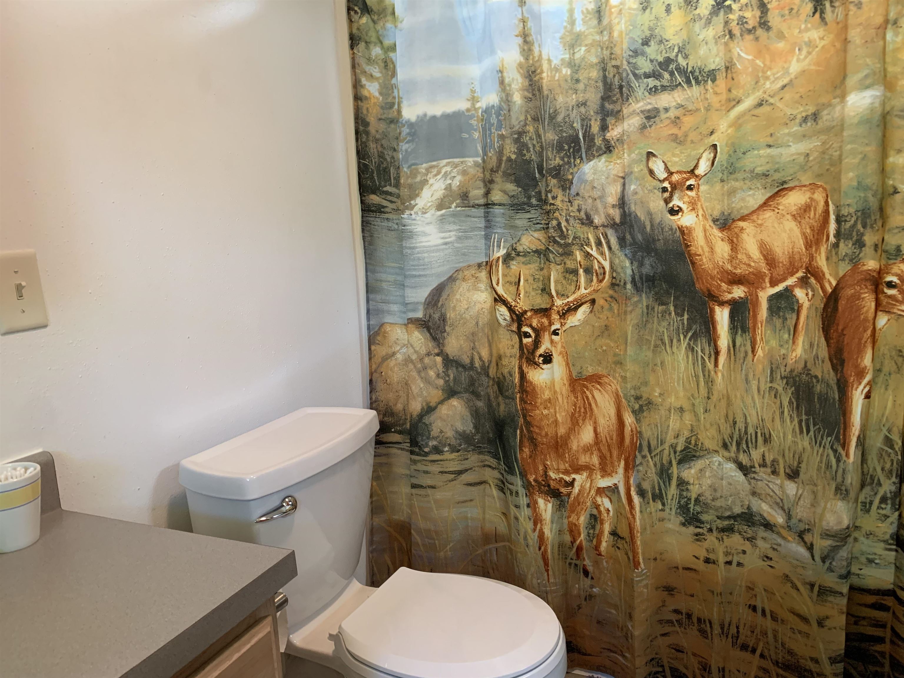 W9159 BIRCHWOOD LANE, Deerbrook, Wisconsin 54409, 3 Bedrooms Bedrooms, ,2 BathroomsBathrooms,Residential,For Sale,W9159 BIRCHWOOD LANE,22603521