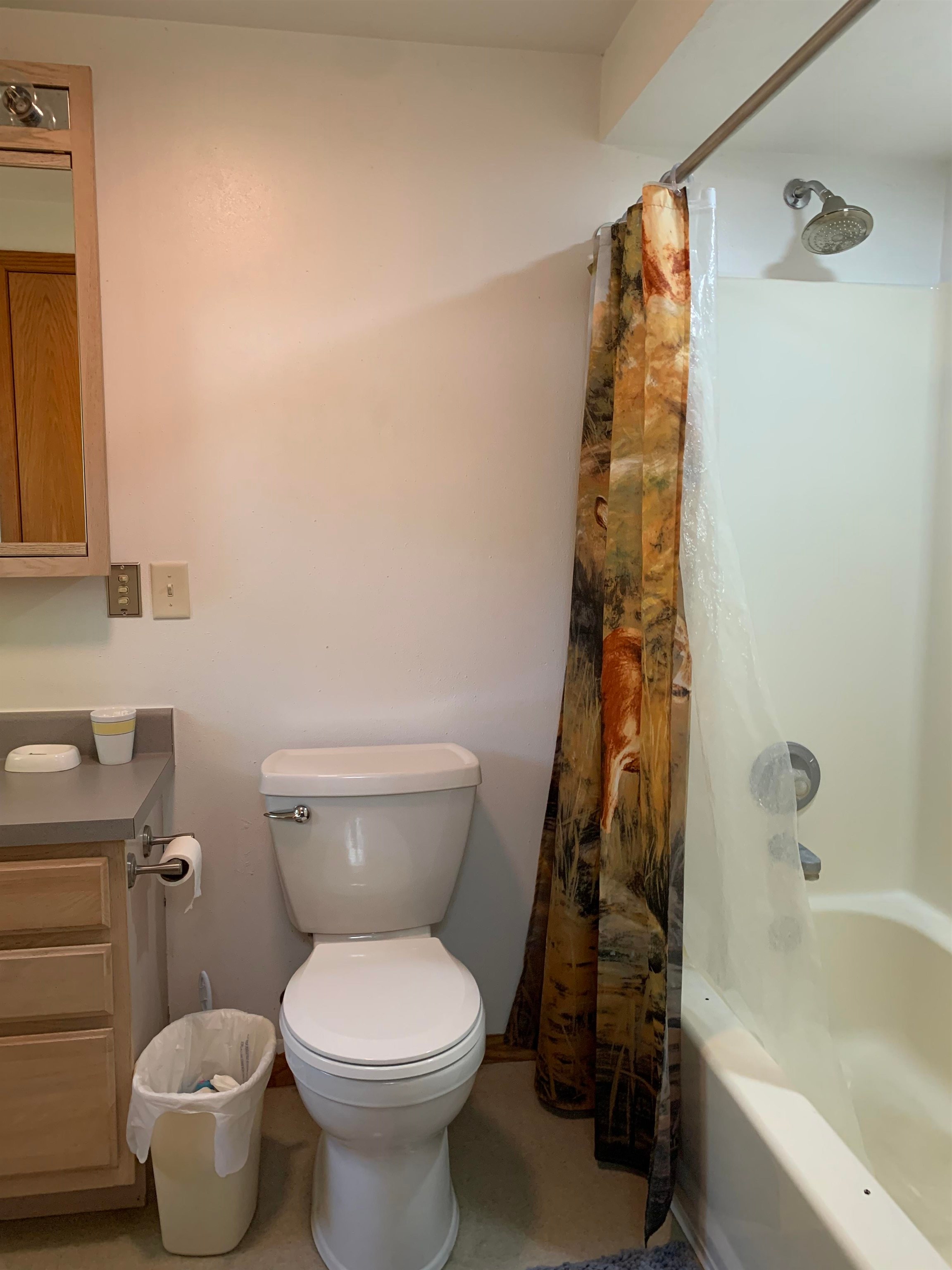W9159 BIRCHWOOD LANE, Deerbrook, Wisconsin 54409, 3 Bedrooms Bedrooms, ,2 BathroomsBathrooms,Residential,For Sale,W9159 BIRCHWOOD LANE,22603521