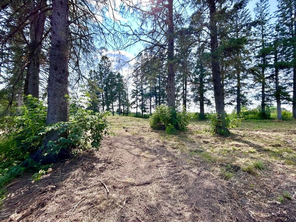 234788 EAU CLAIRE RIVER ROAD, Aniwa, Wisconsin 54408, 2 Bedrooms Bedrooms, ,1 BathroomBathrooms,Residential,For Sale,234788 EAU CLAIRE RIVER ROAD,22603542