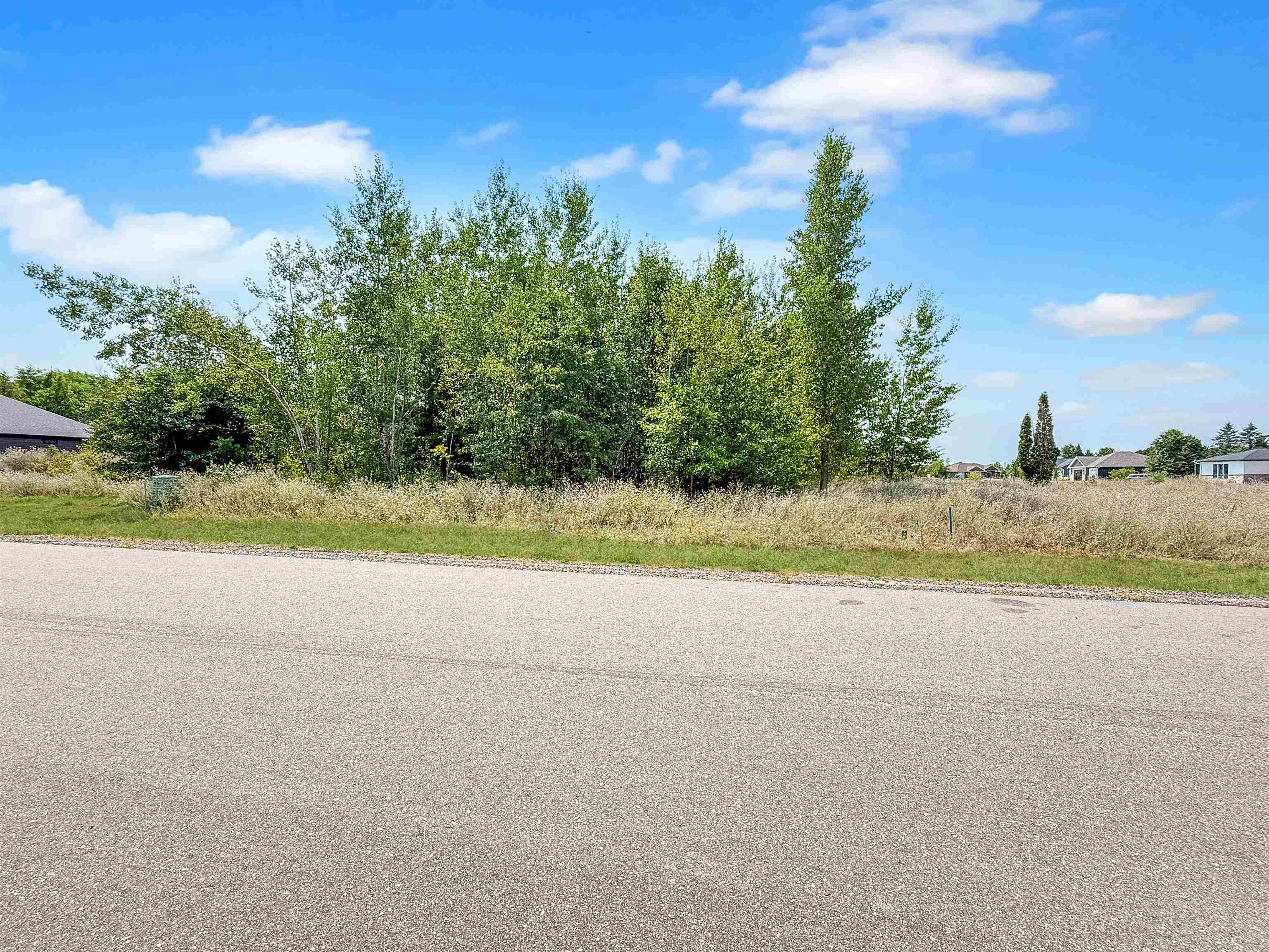 651 Amberwood Way, Plover, Wisconsin 54467, ,Land,For Sale,651 Amberwood Way,22603562
