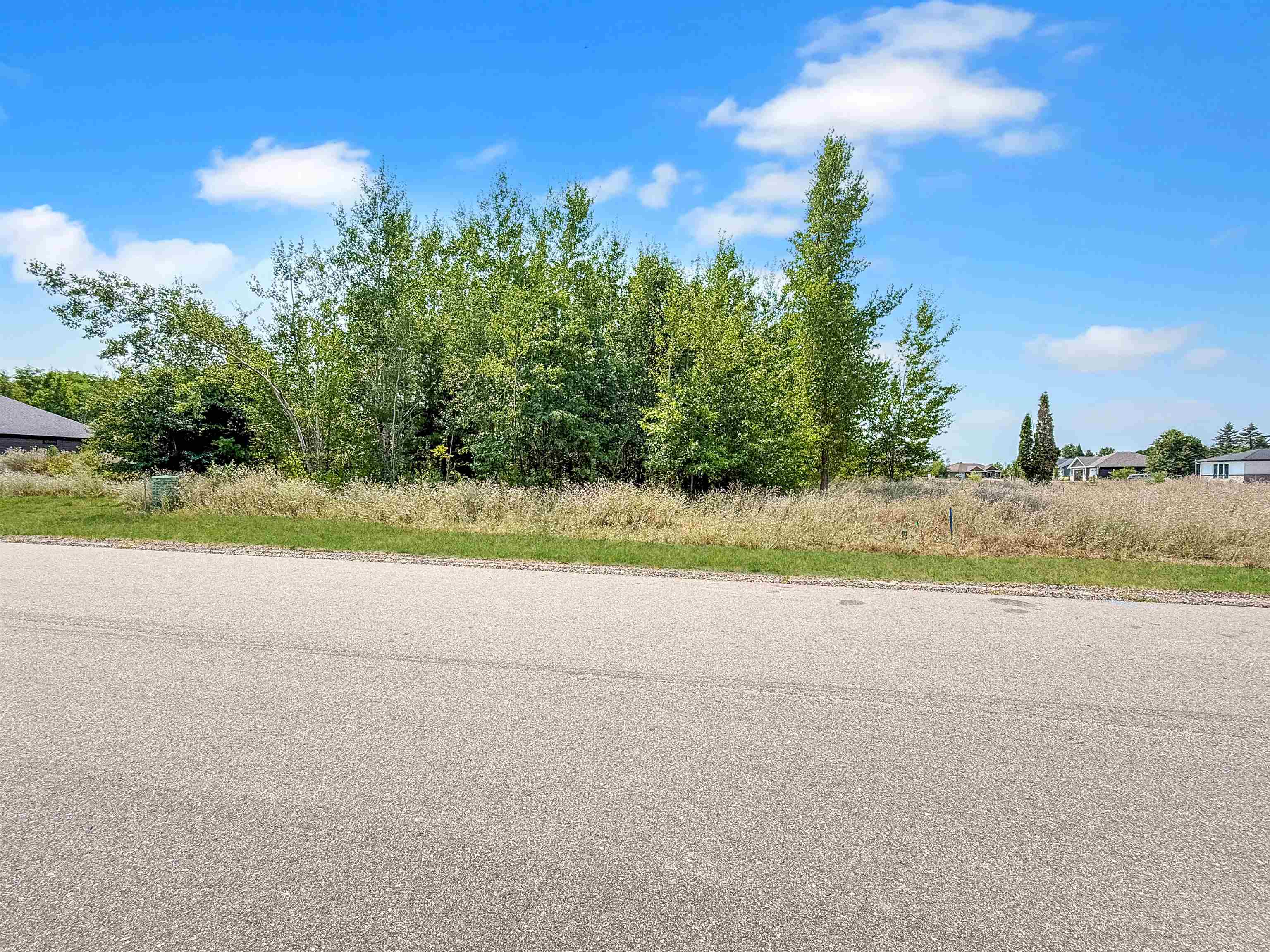 651 Amberwood Way, Plover, Wisconsin 54467, ,Land,For Sale,651 Amberwood Way,22603562