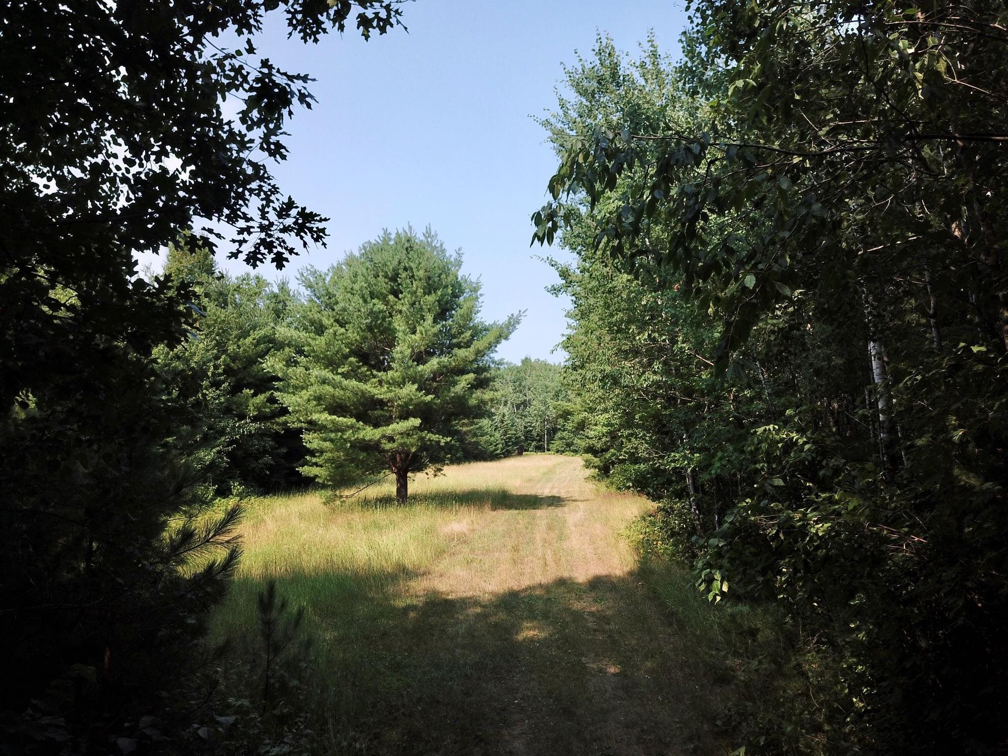 On OAK RIDGE ROAD, Harshaw, Wisconsin 54529, ,Land,For Sale,On OAK RIDGE ROAD,22603670
