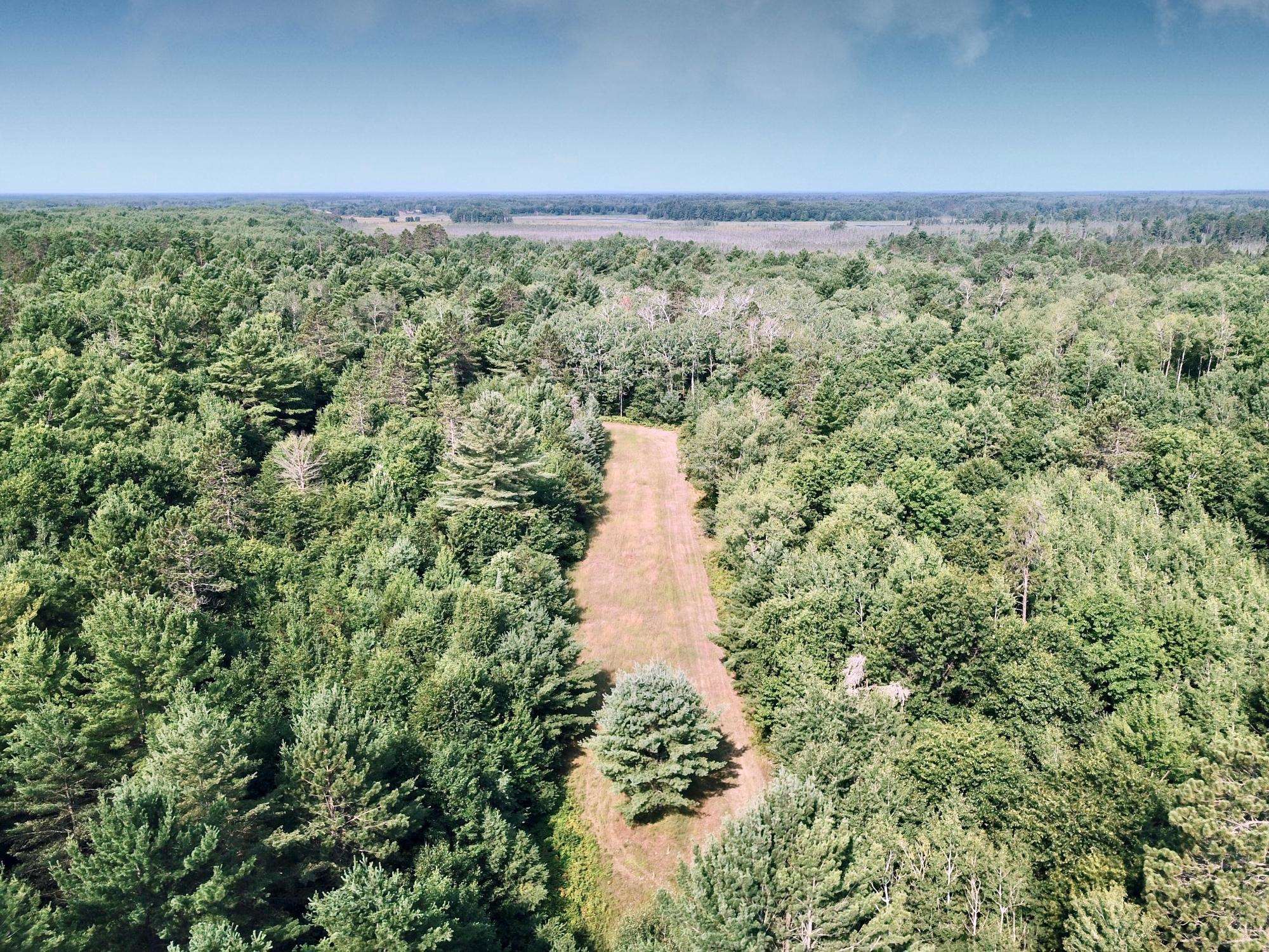On OAK RIDGE ROAD, Harshaw, Wisconsin 54529, ,Land,For Sale,On OAK RIDGE ROAD,22603670