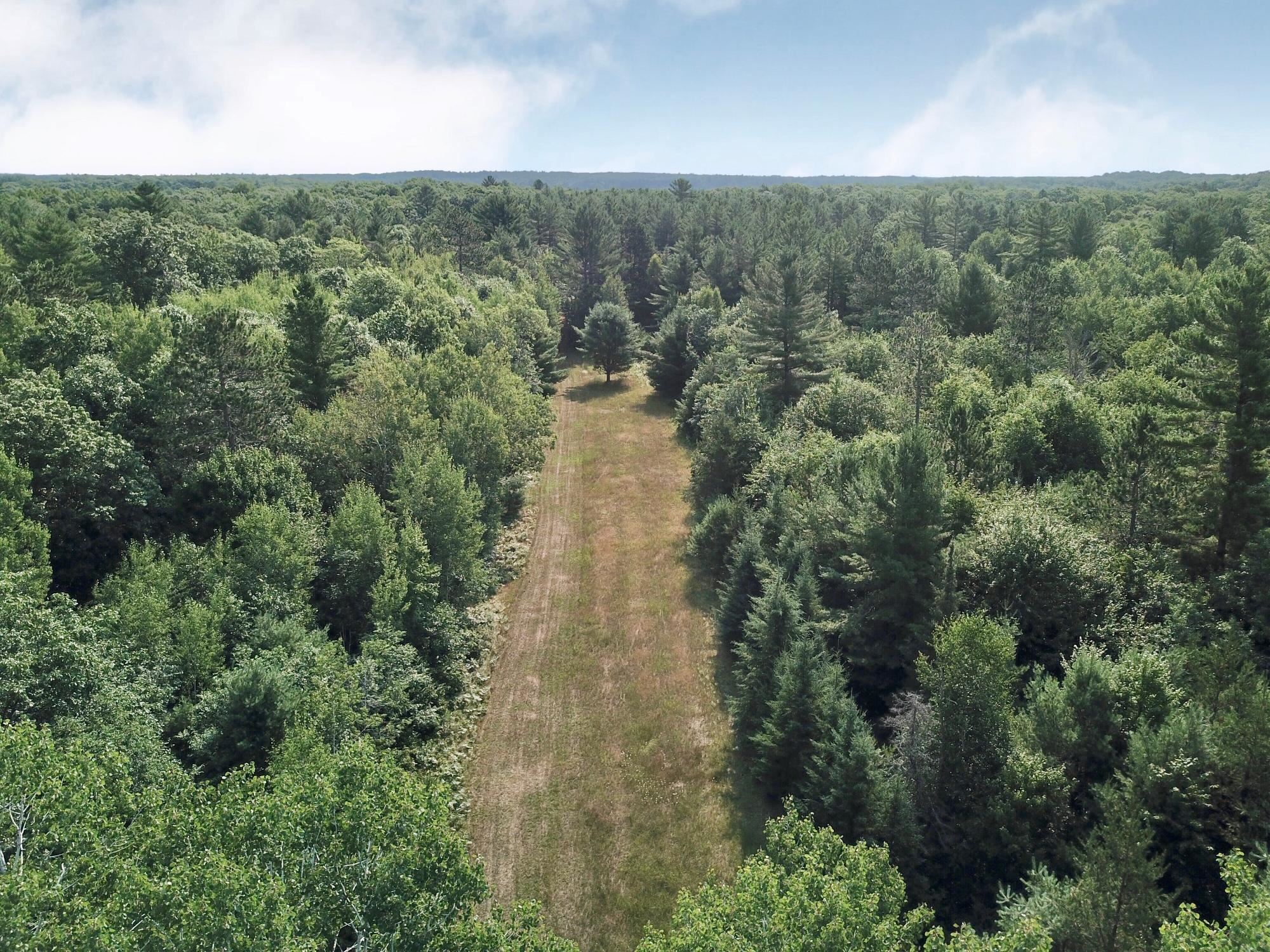 On OAK RIDGE ROAD, Harshaw, Wisconsin 54529, ,Land,For Sale,On OAK RIDGE ROAD,22603670